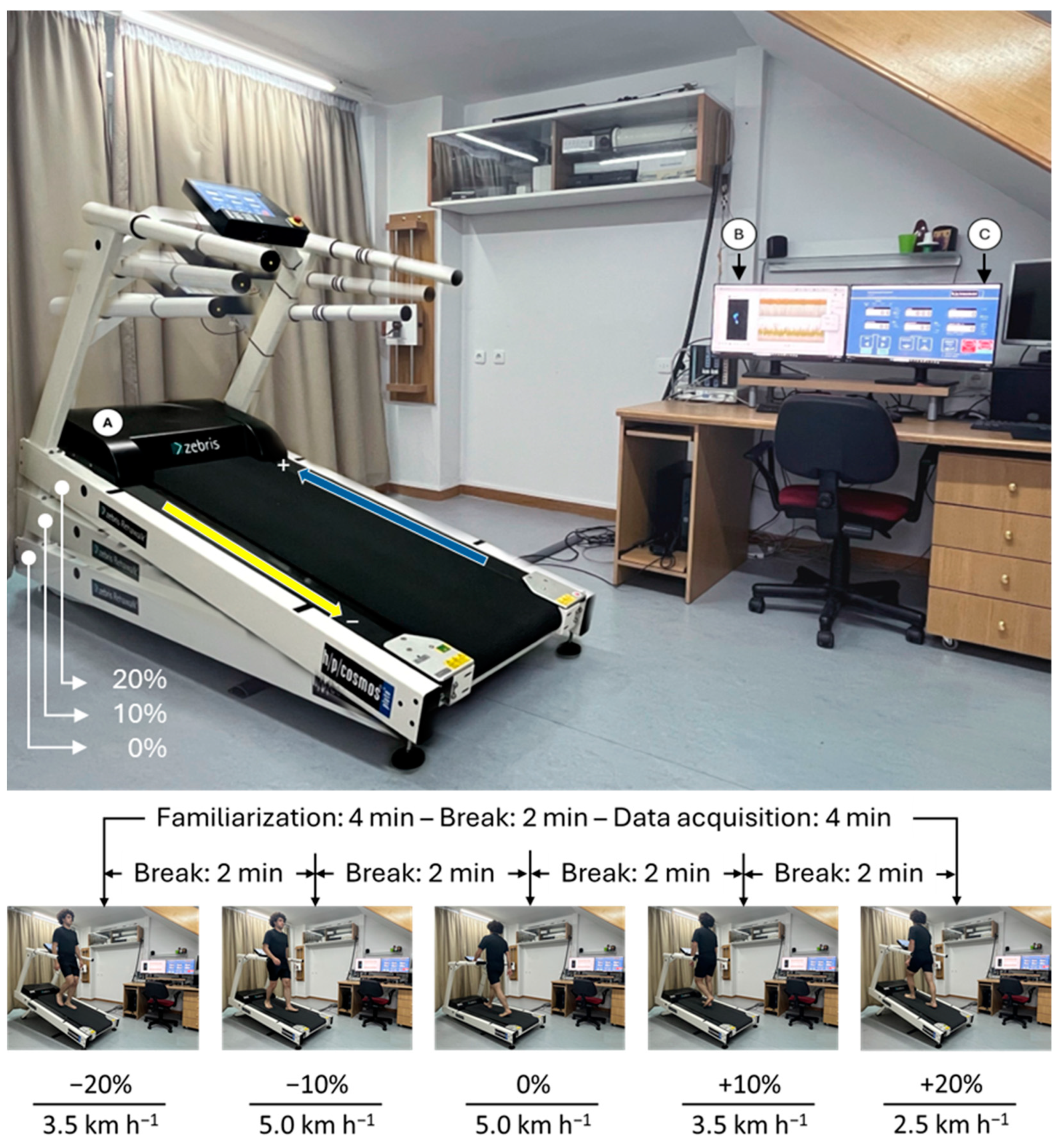 Applsci 14 04383 g001