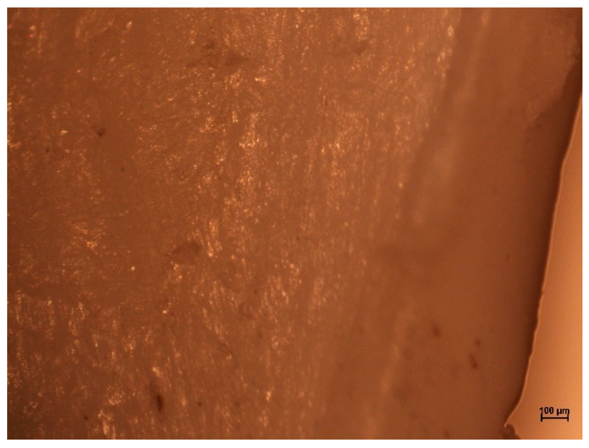 Applsci 14 04407 g007