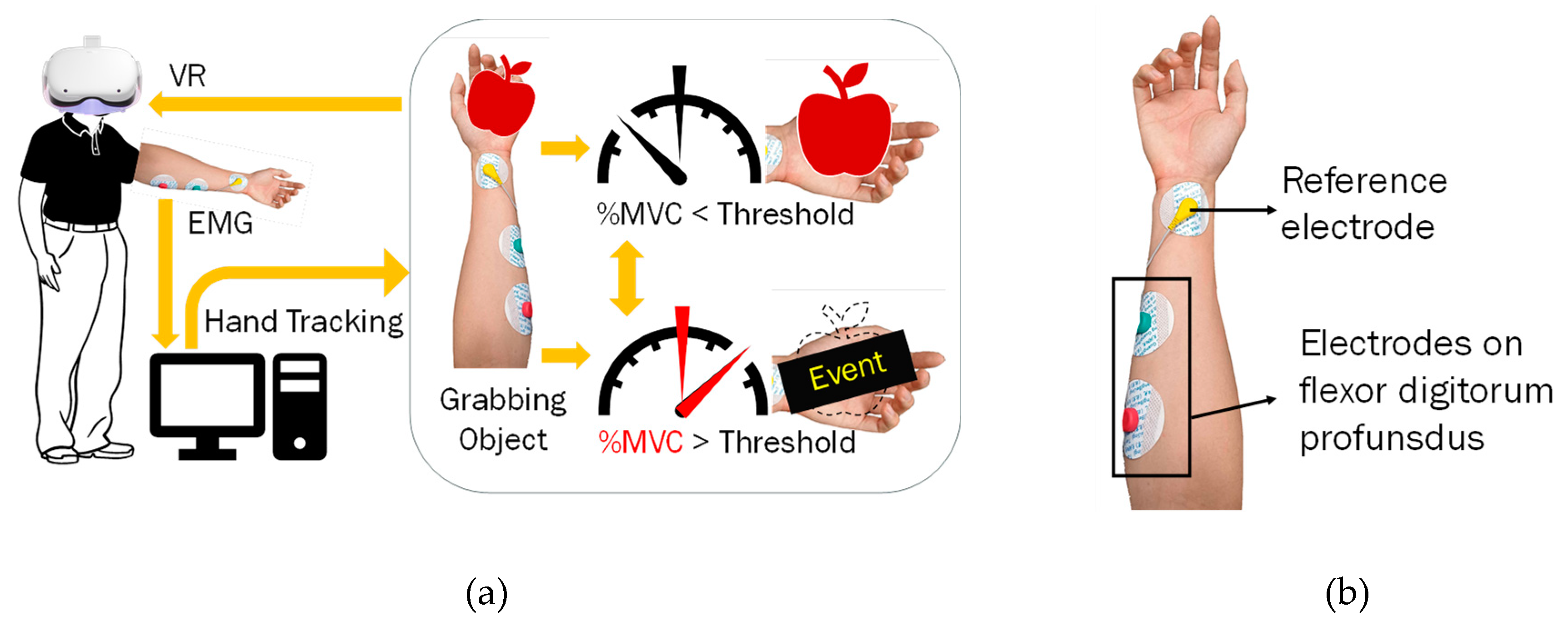 Applsci 14 04415 g001