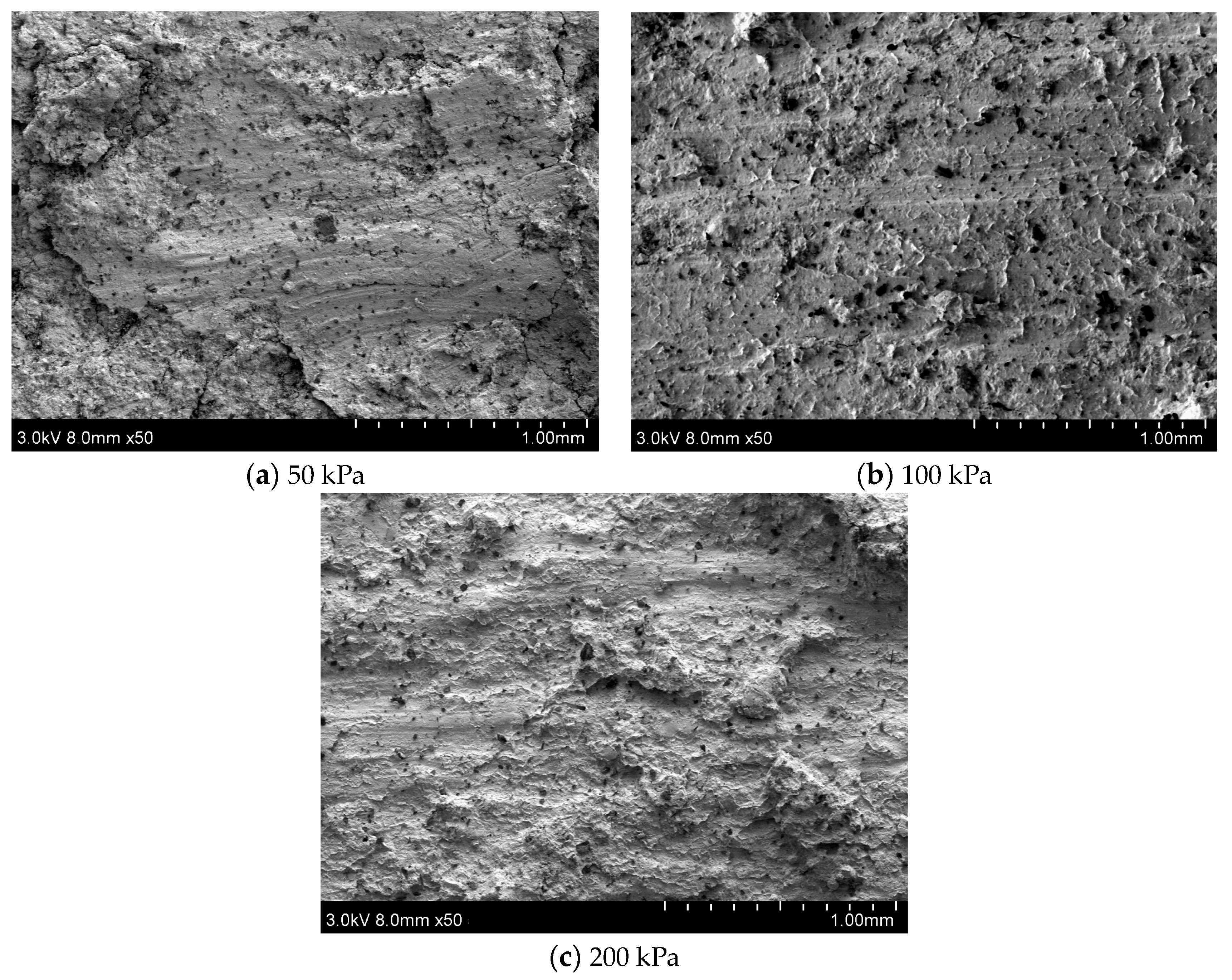 Applsci 14 04484 g012