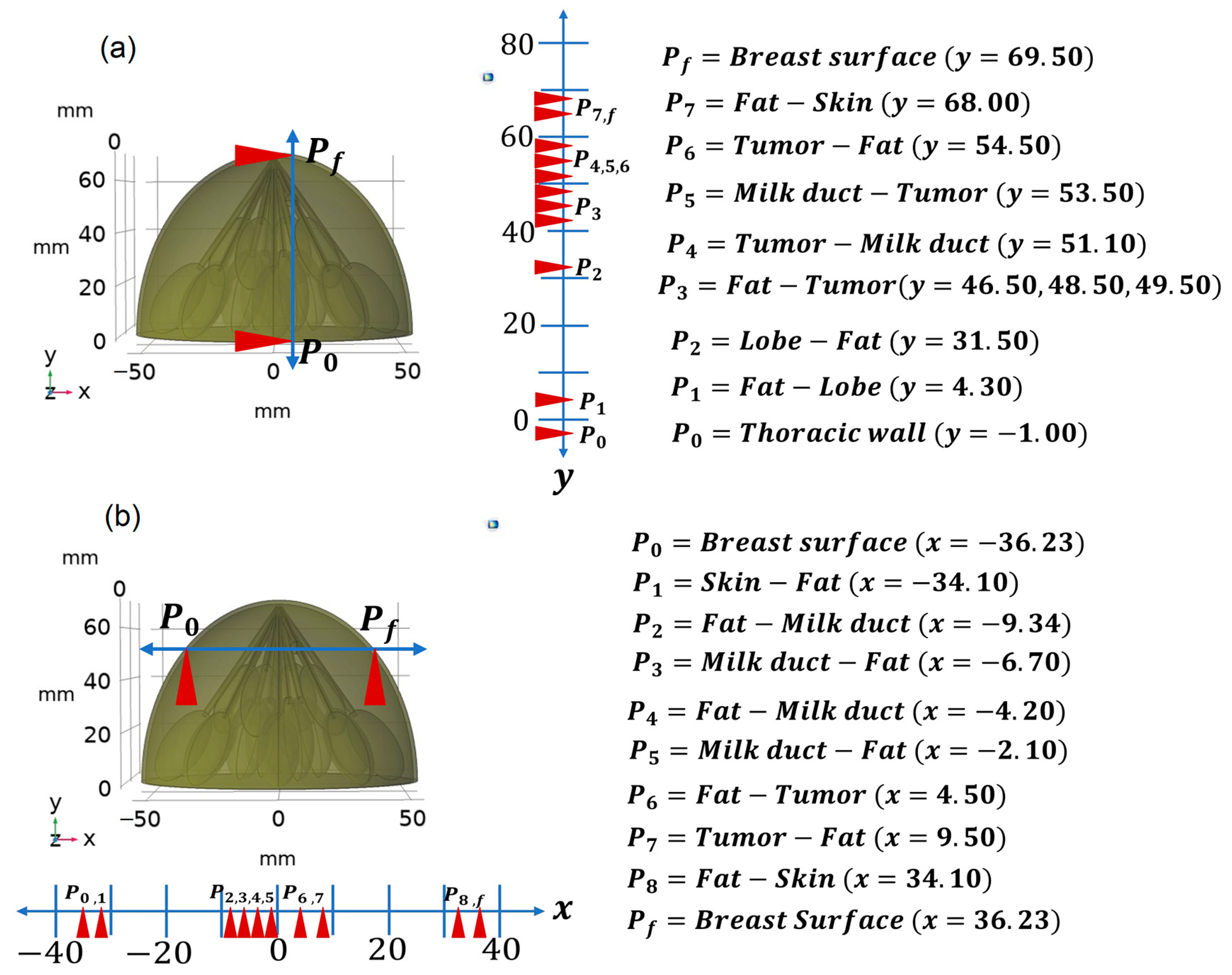 Applsci 14 04538 g003
