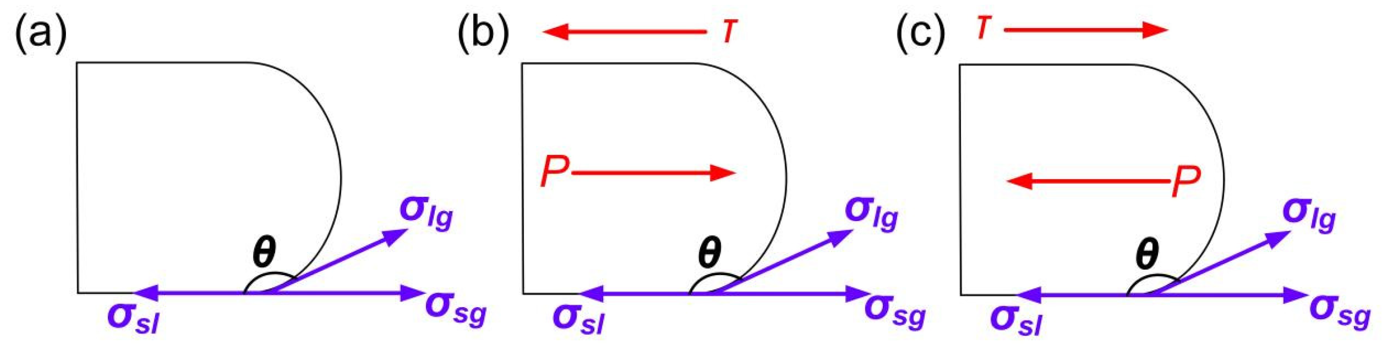 Applsci 14 04557 g012