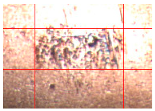 Applsci 14 04567 i002