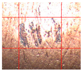 Applsci 14 04567 i004