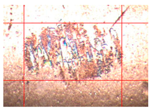 Applsci 14 04567 i007