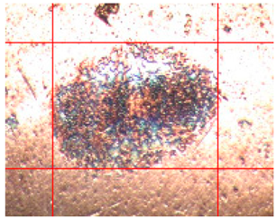 Applsci 14 04567 i011