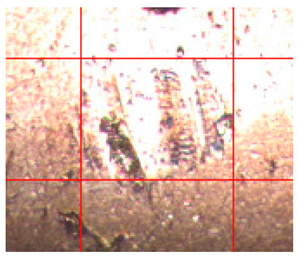 Applsci 14 04567 i012