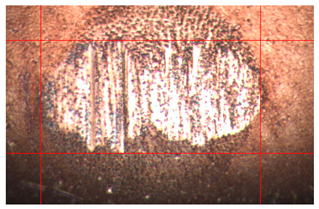 Applsci 14 04567 i016