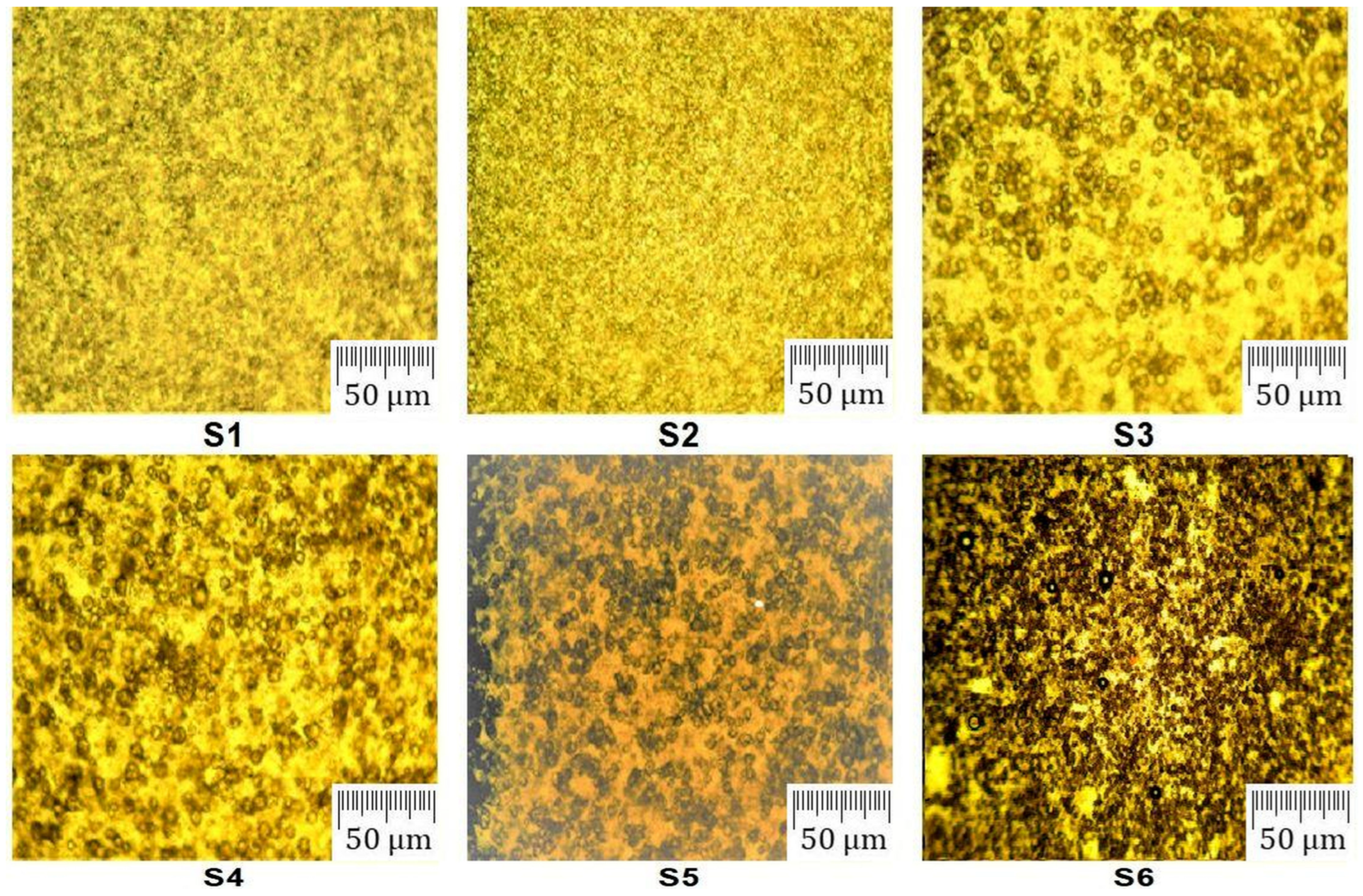 Applsci 14 04612 g005