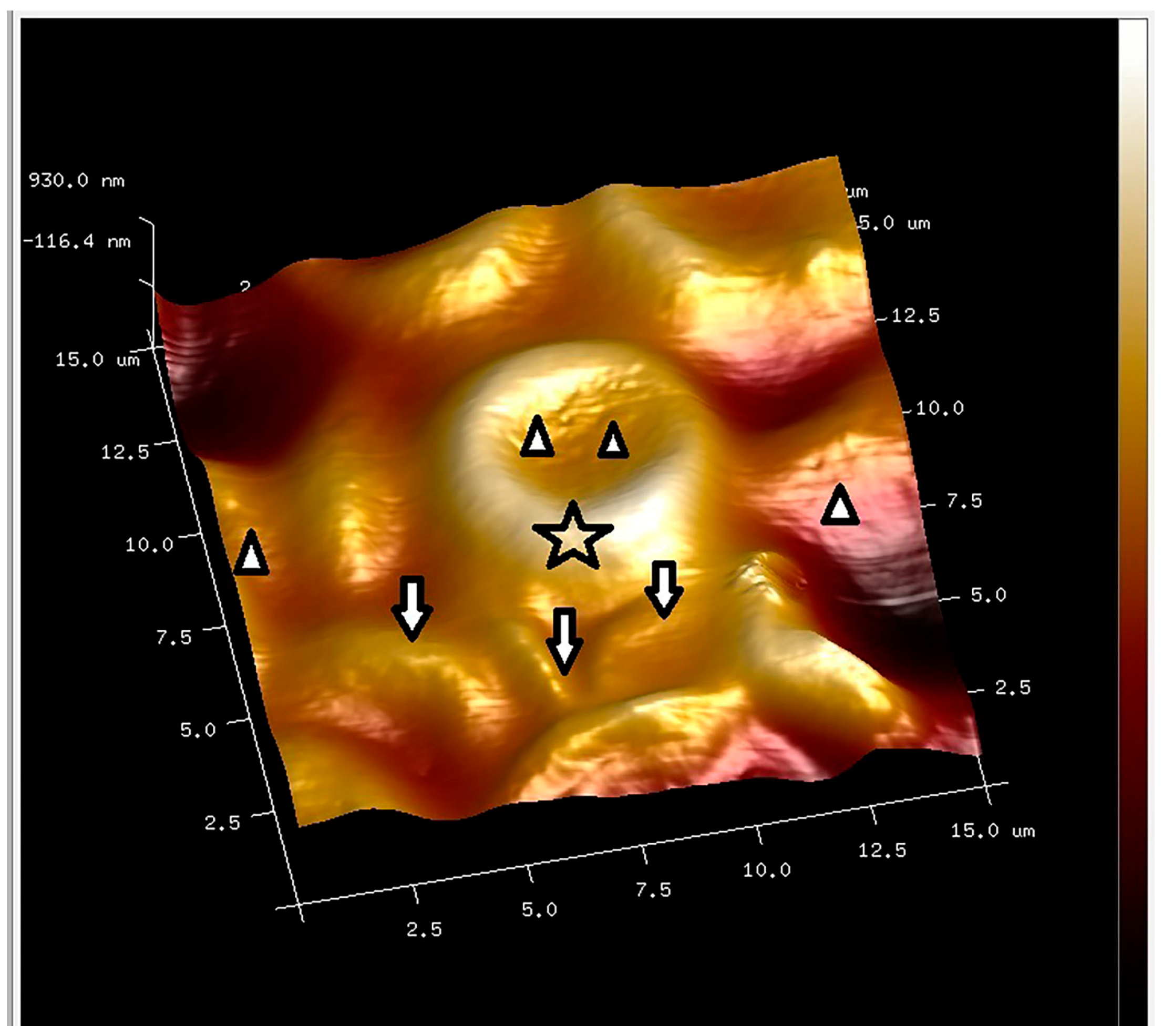 Applsci 14 04684 g002