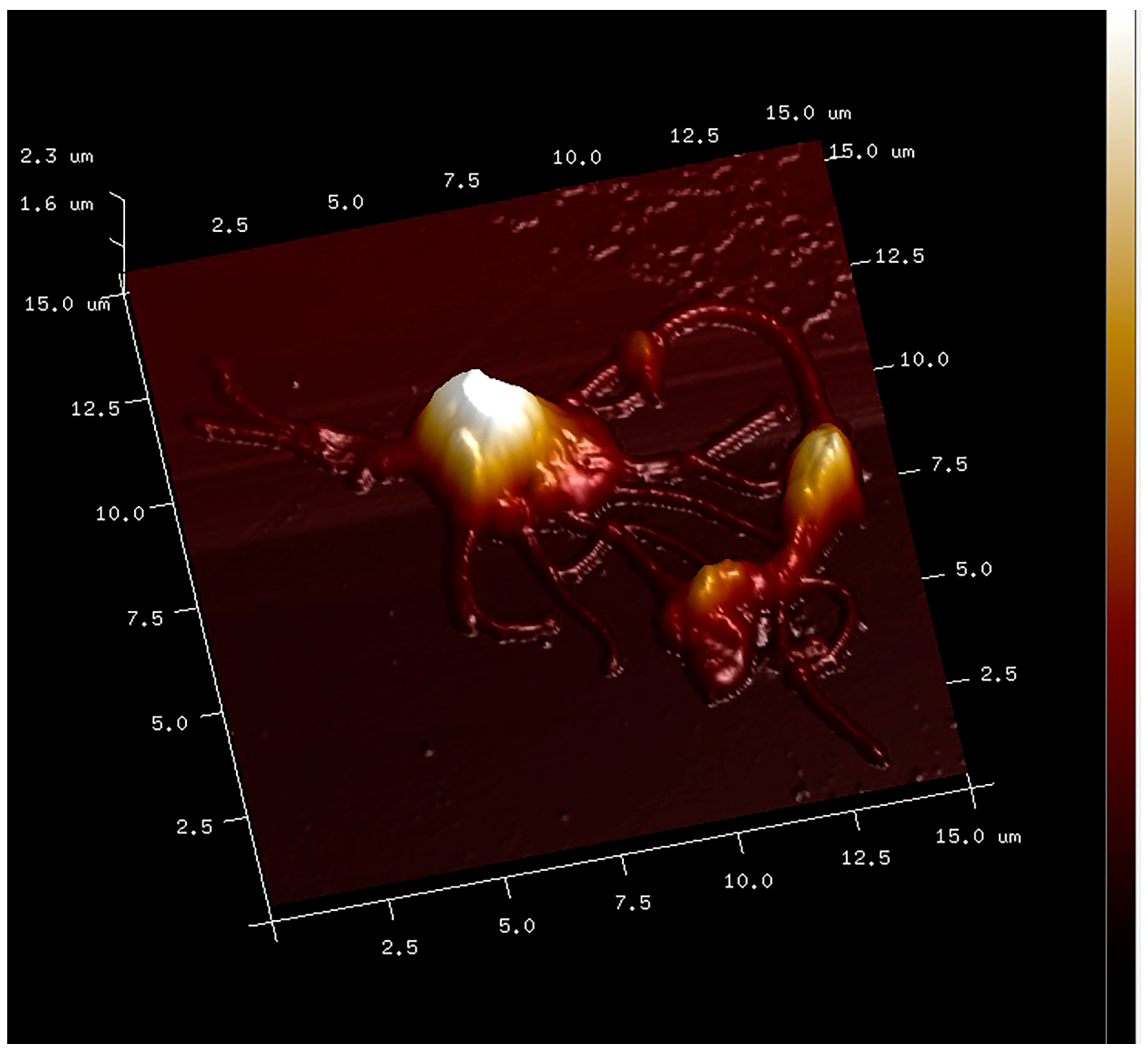 Applsci 14 04684 g003