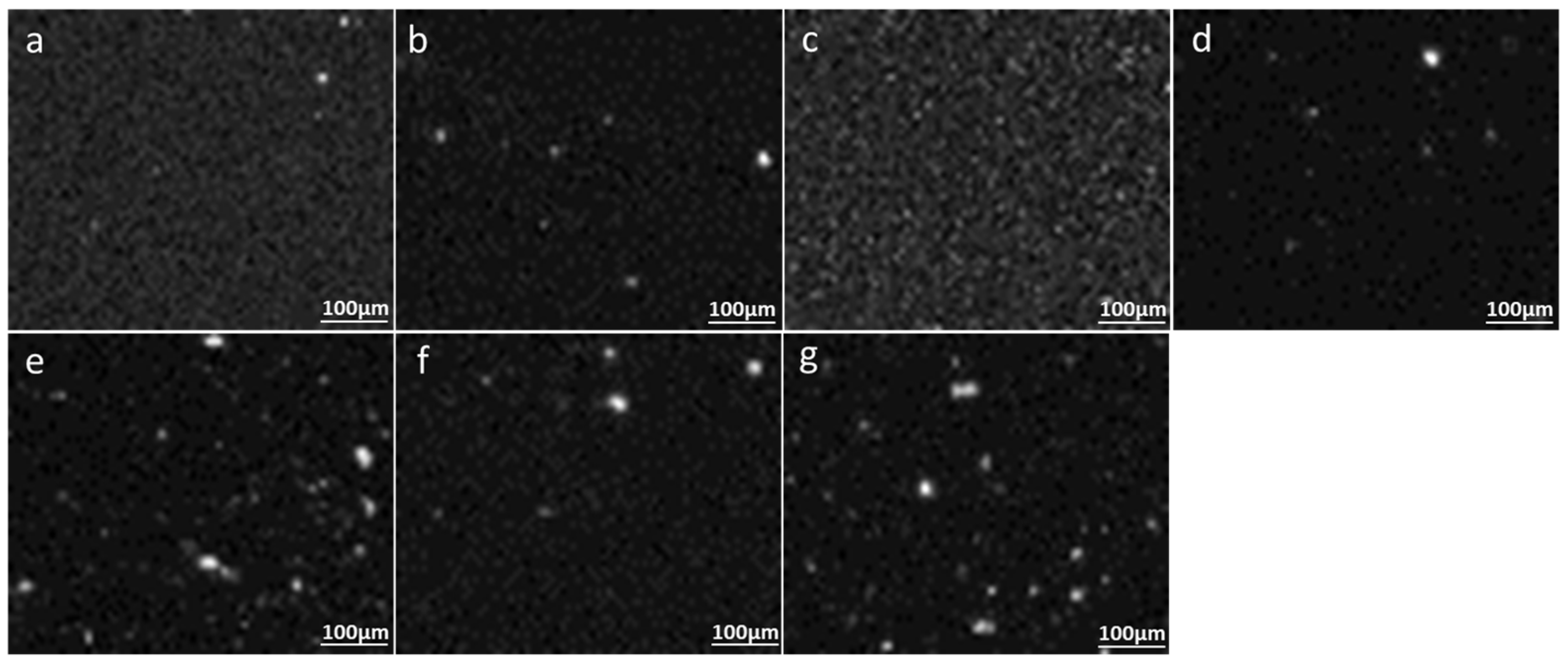 Applsci 14 04720 g002