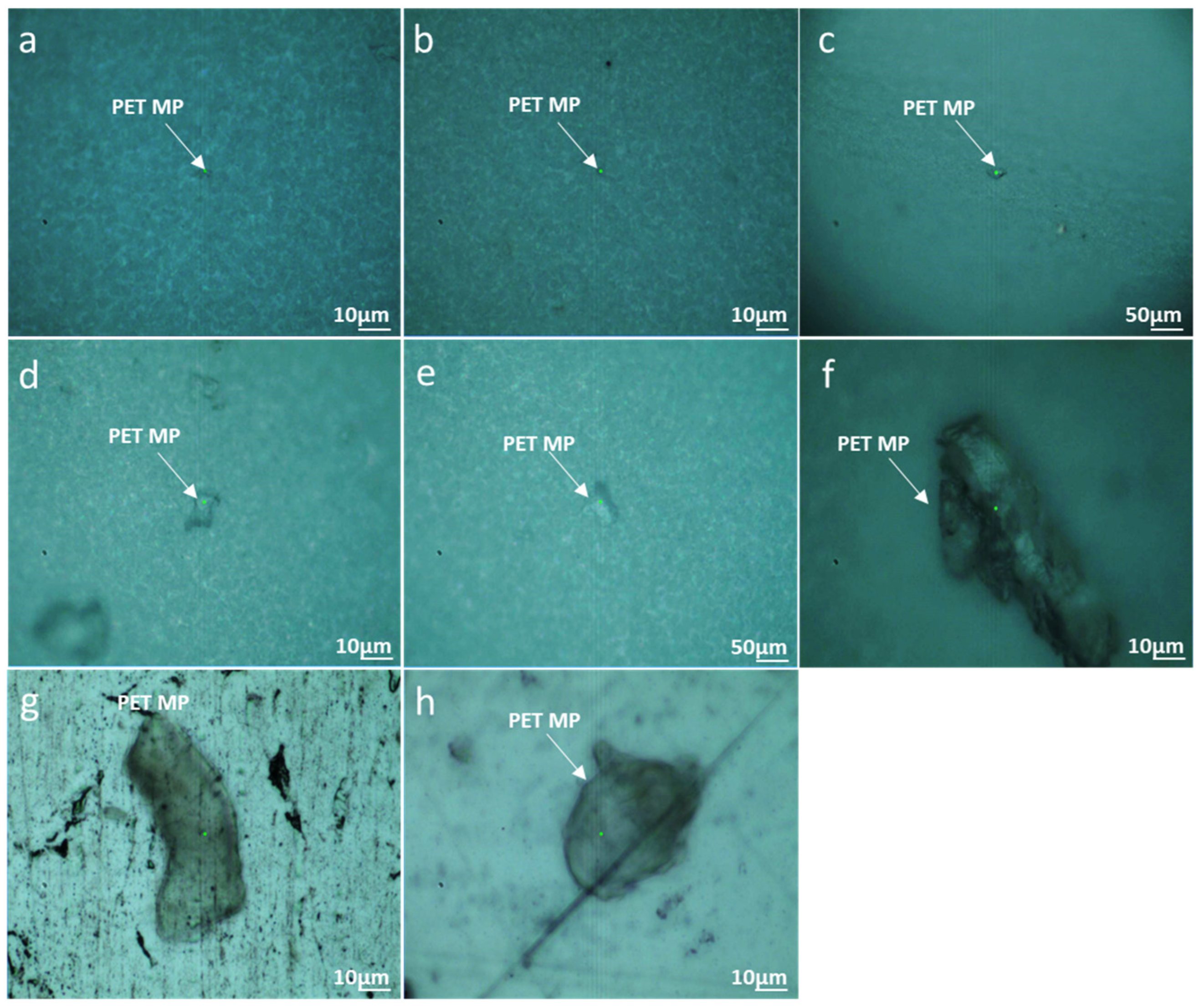 Applsci 14 04720 g004