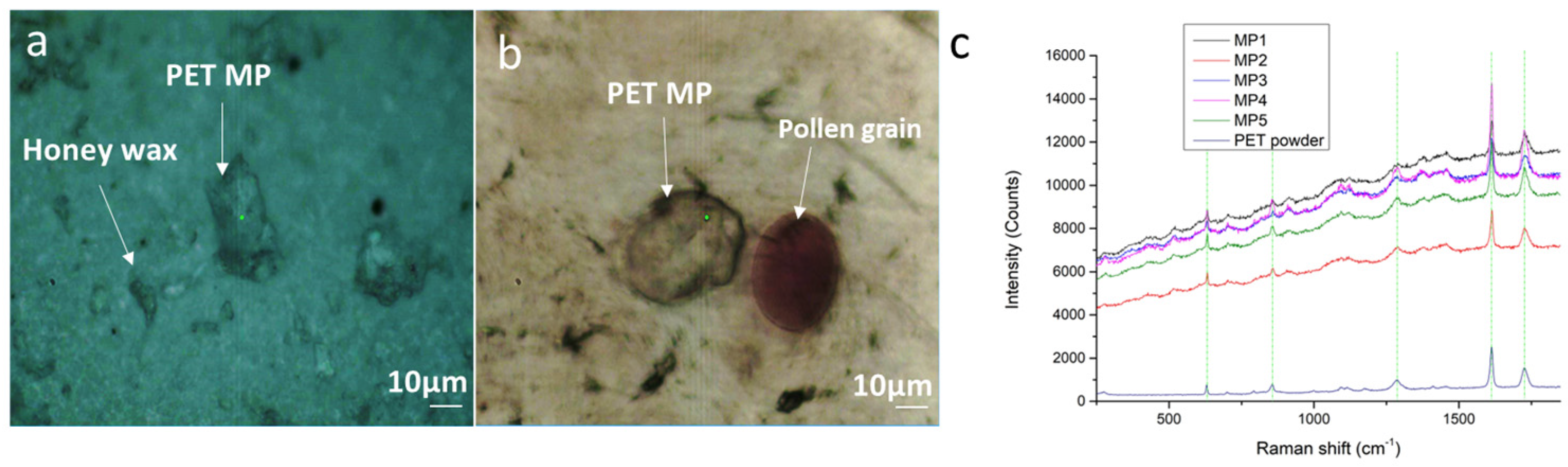 Applsci 14 04720 g005