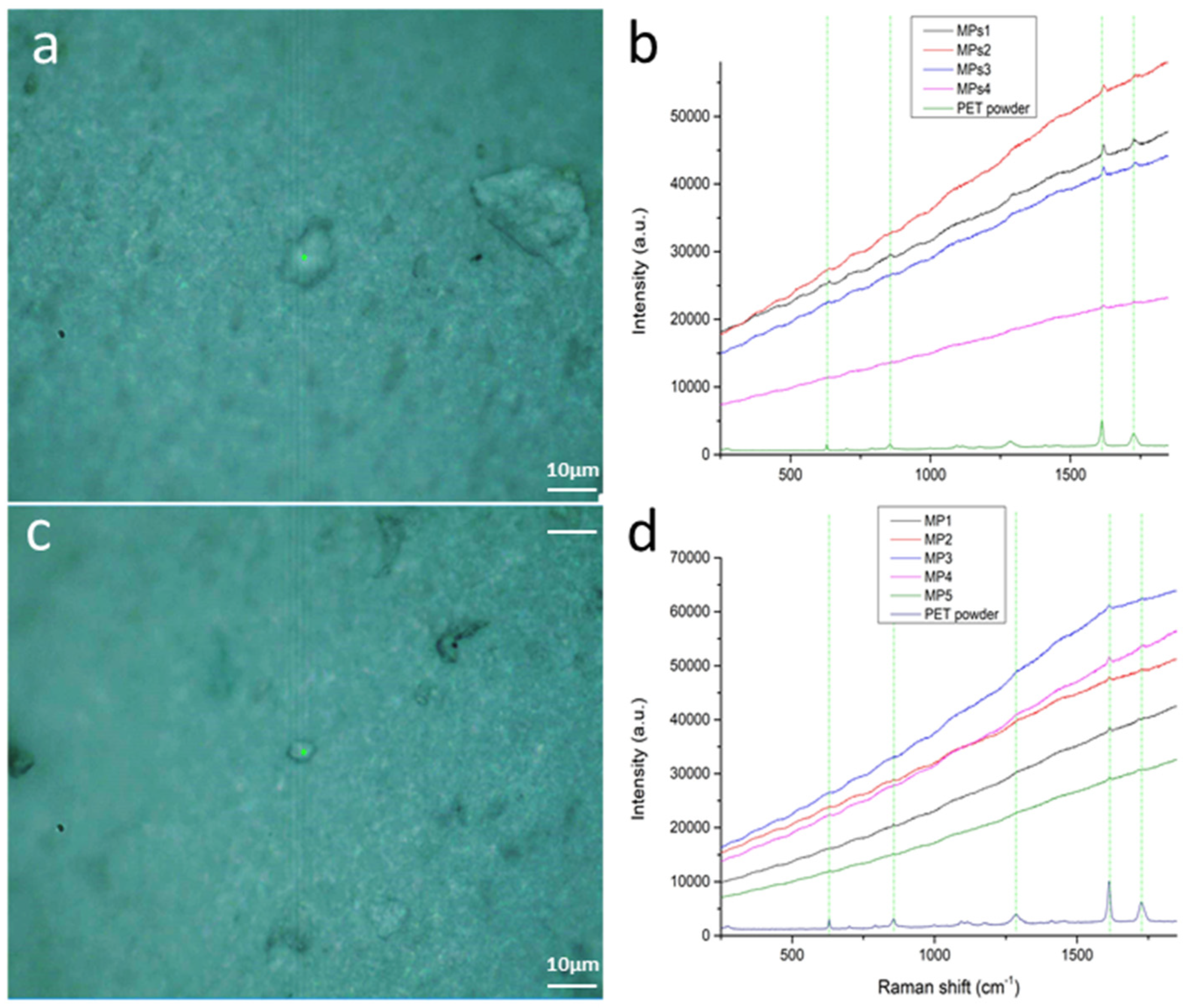 Applsci 14 04720 g006