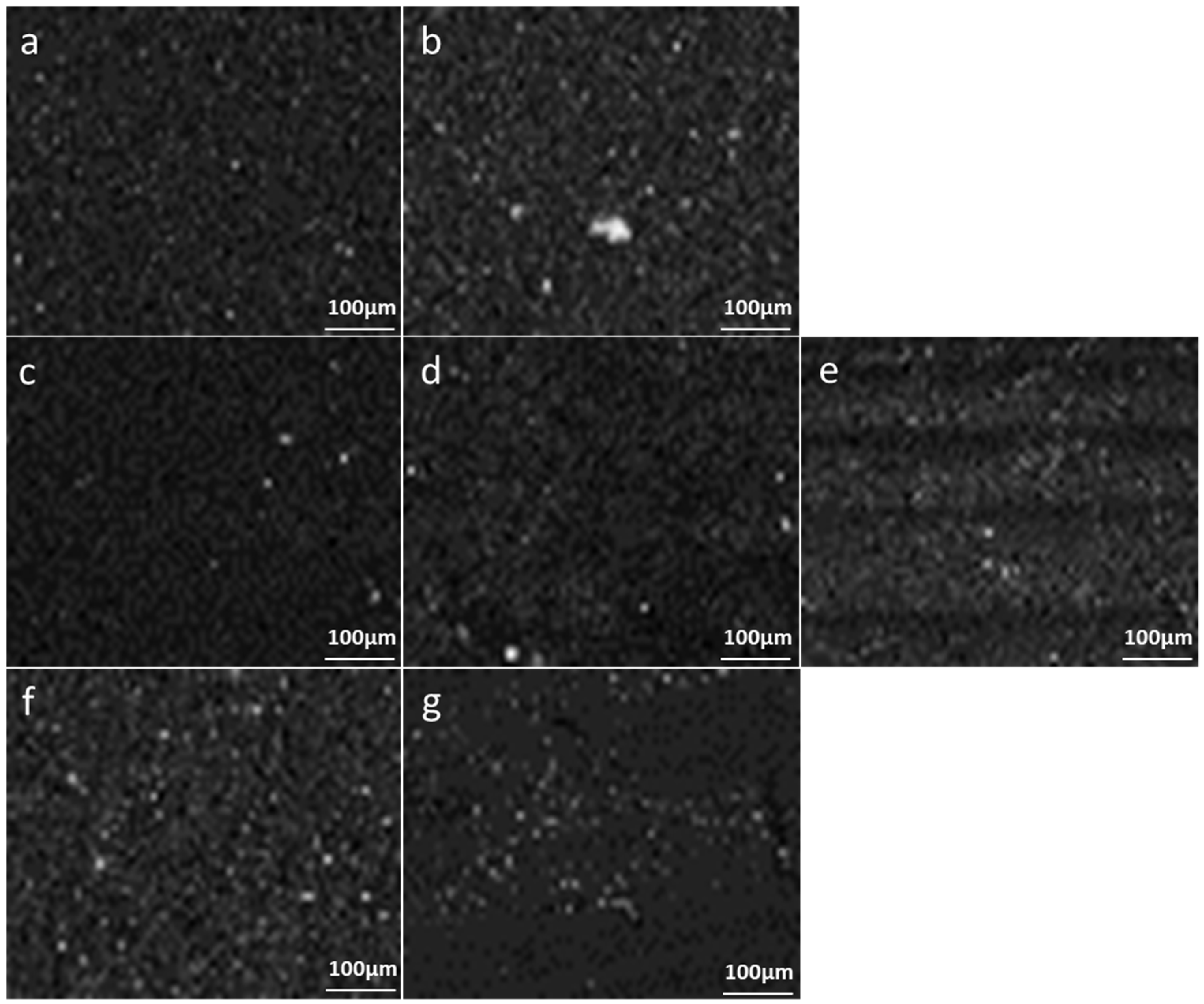 Applsci 14 04720 g008