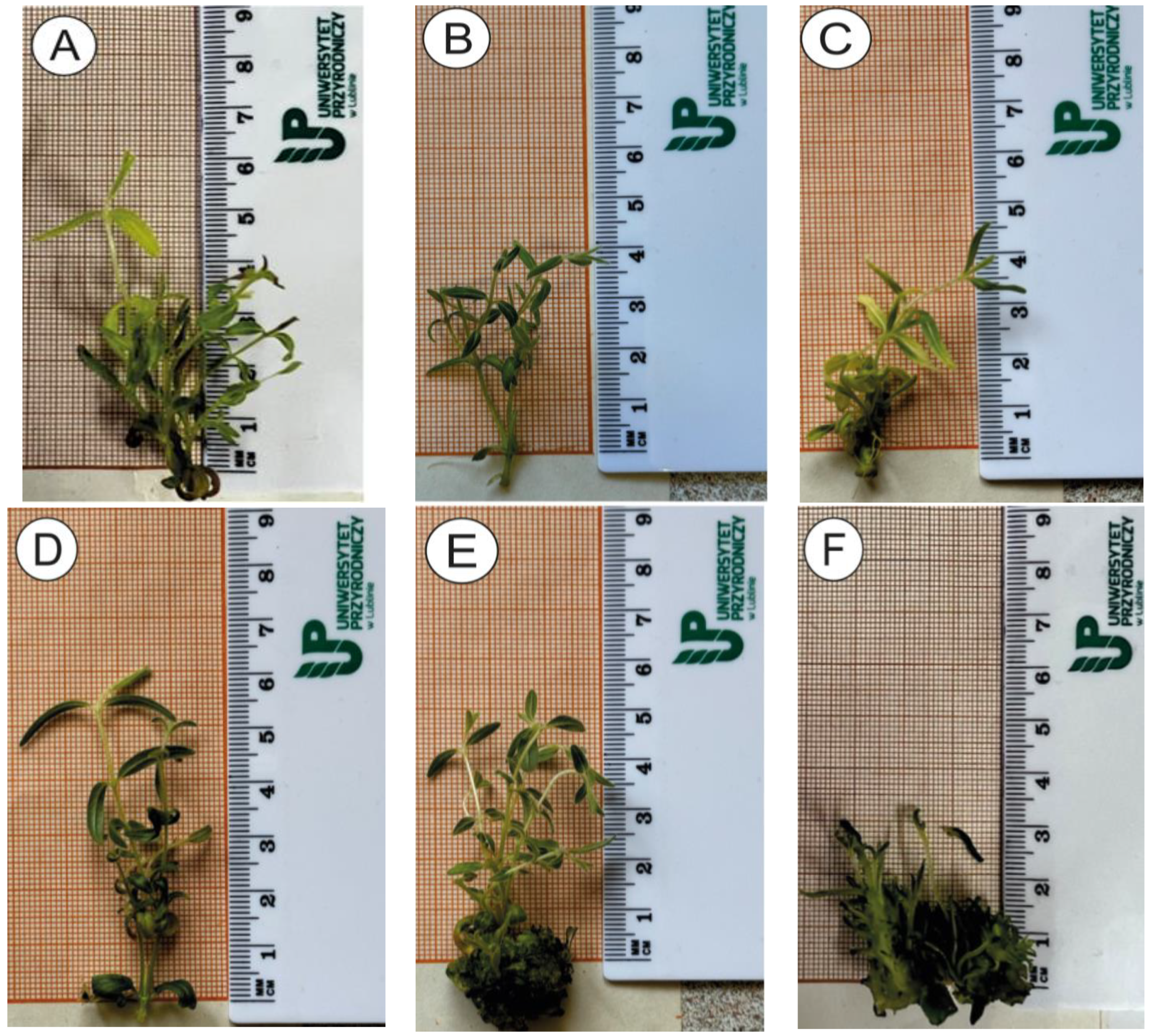 Applsci 14 04791 g002a