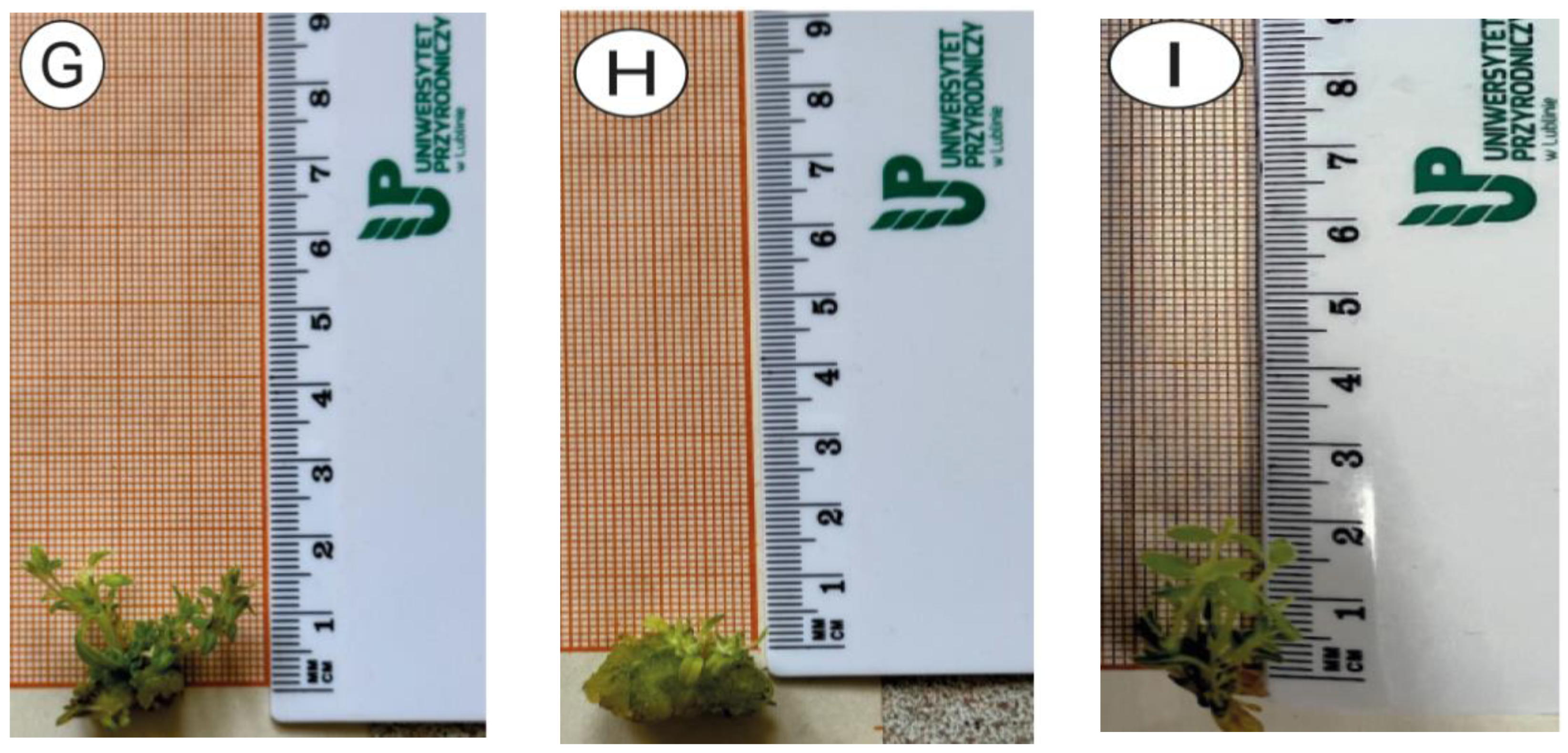 Applsci 14 04791 g002b