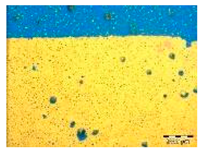 Applsci 14 04799 i001