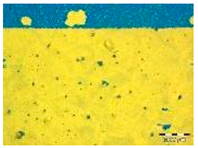 Applsci 14 04799 i008