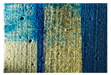 Applsci 14 04799 i012