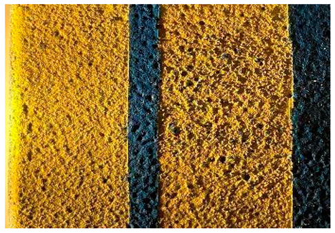 Applsci 14 04799 i015