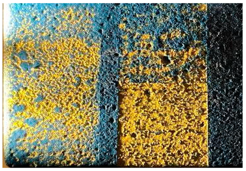 Applsci 14 04799 i016