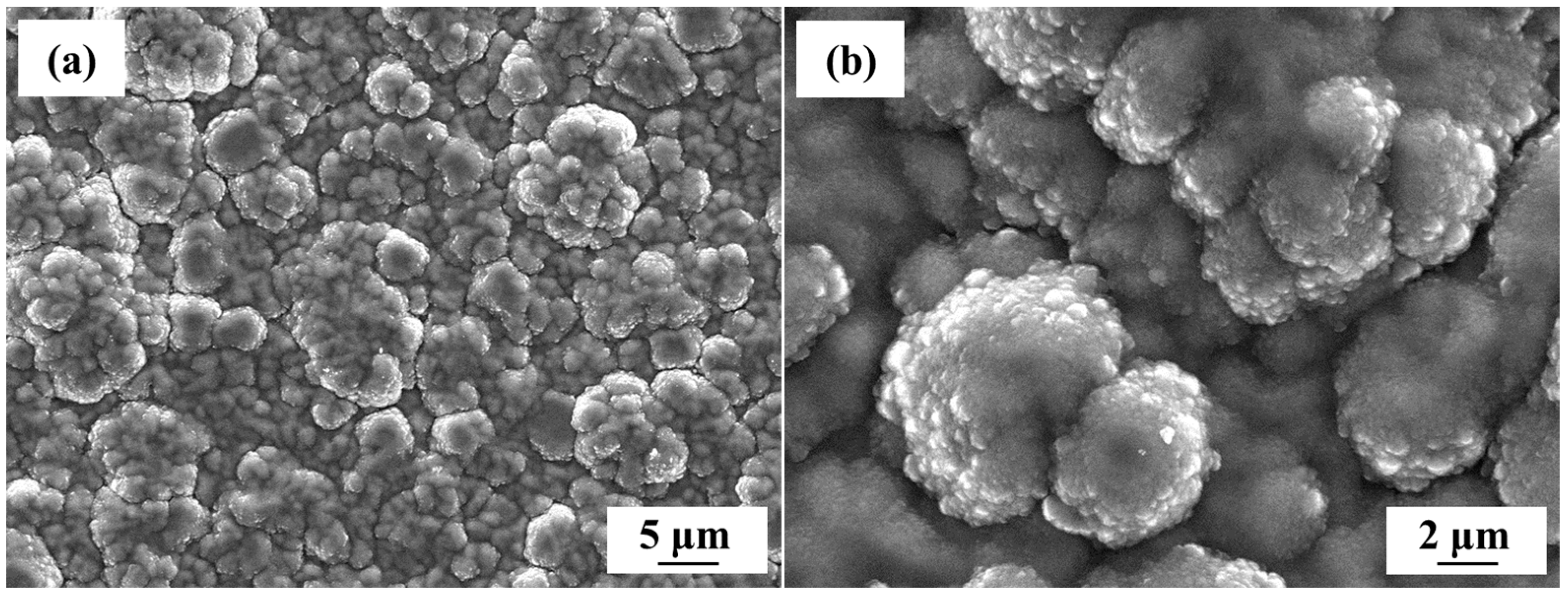 Applsci 14 04811 g005