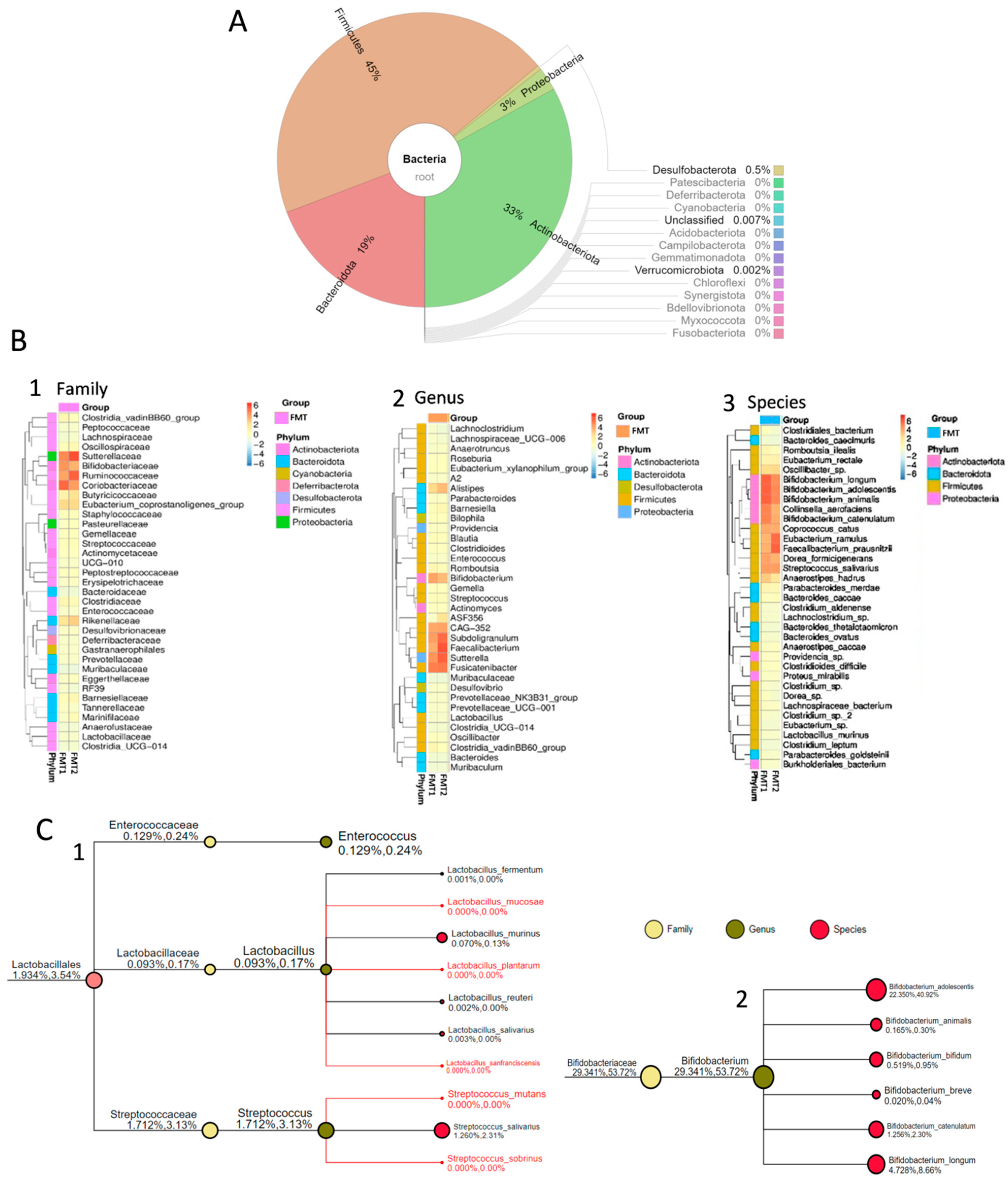 Applsci 14 04856 g001