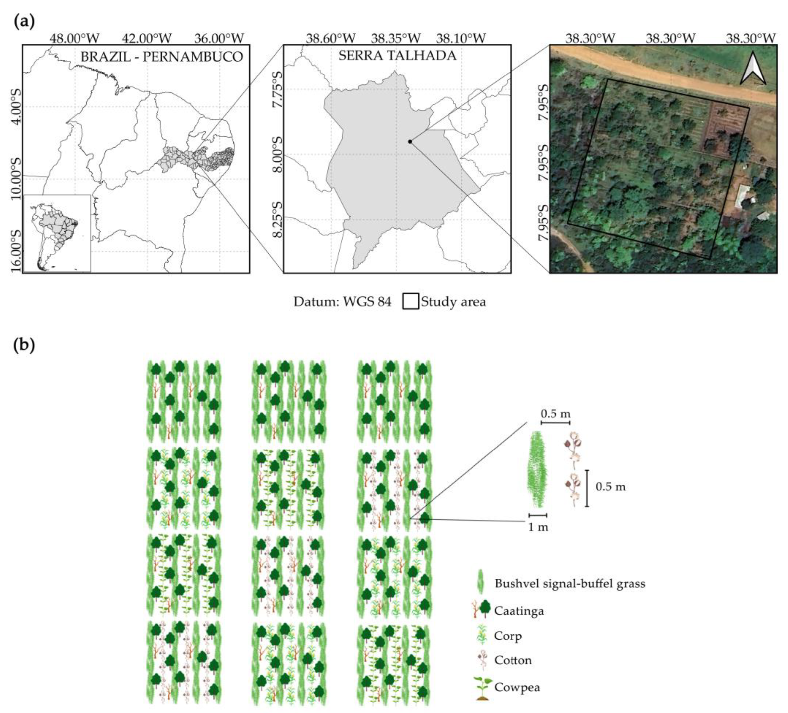 Applsci 14 04896 g001