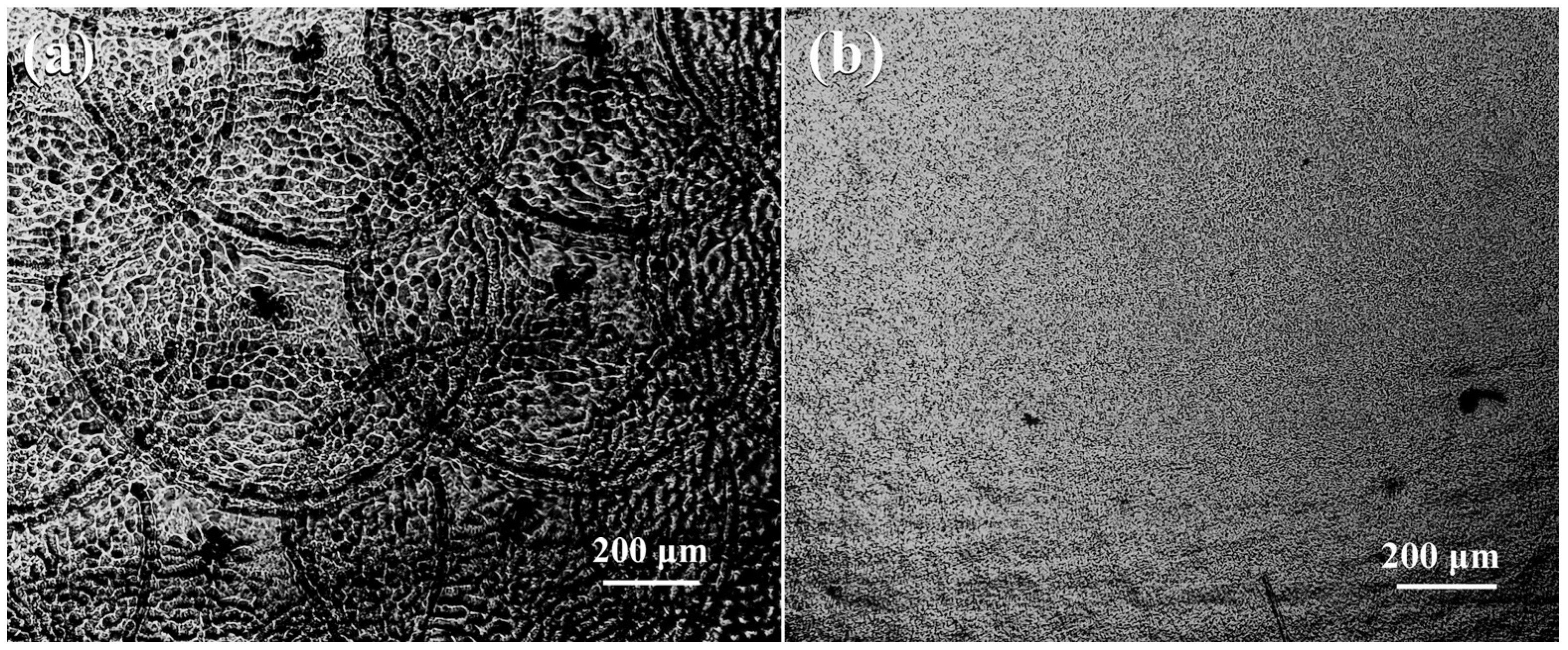 Applsci 14 04977 g002