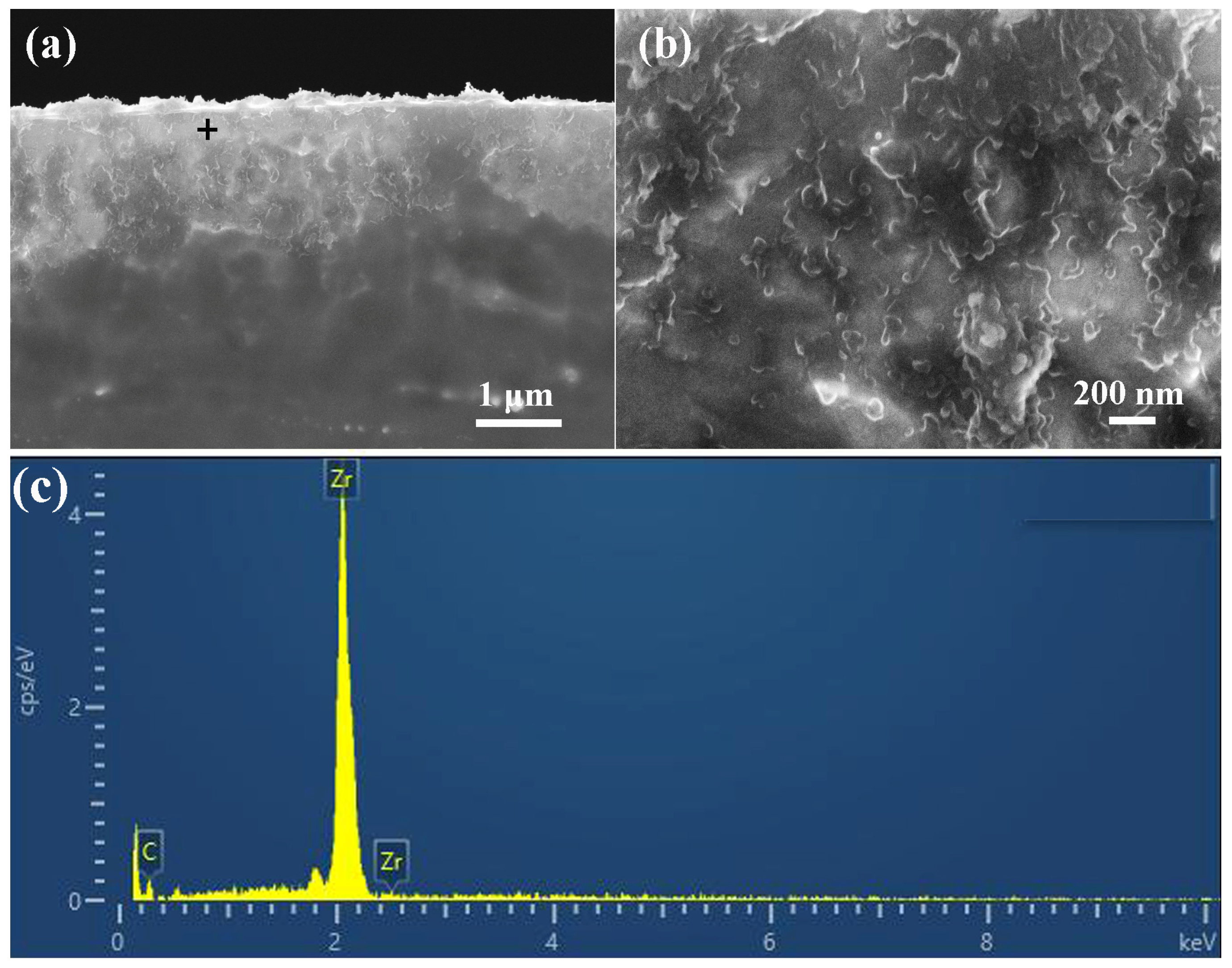 Applsci 14 04977 g003