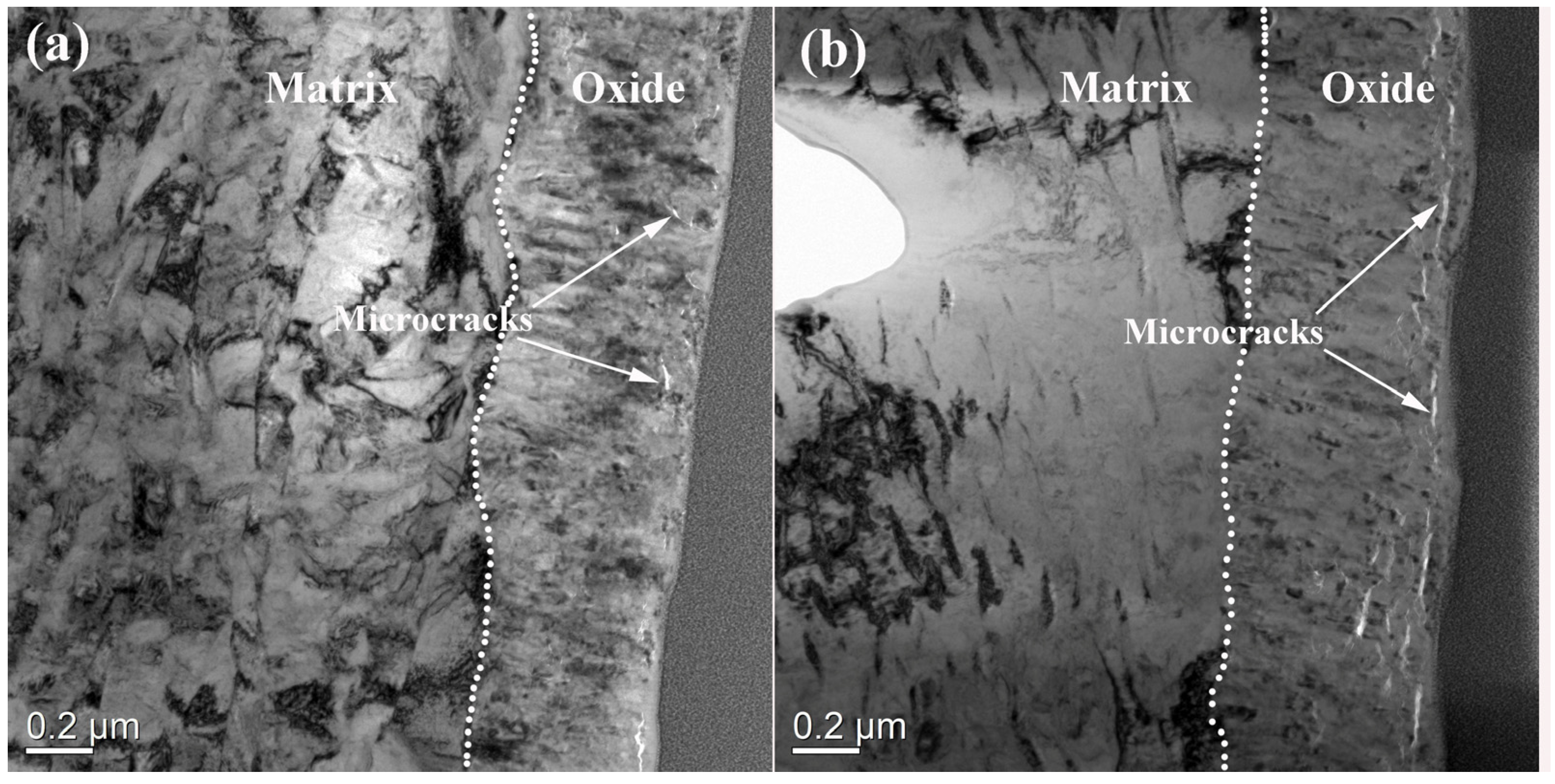 Applsci 14 04977 g007