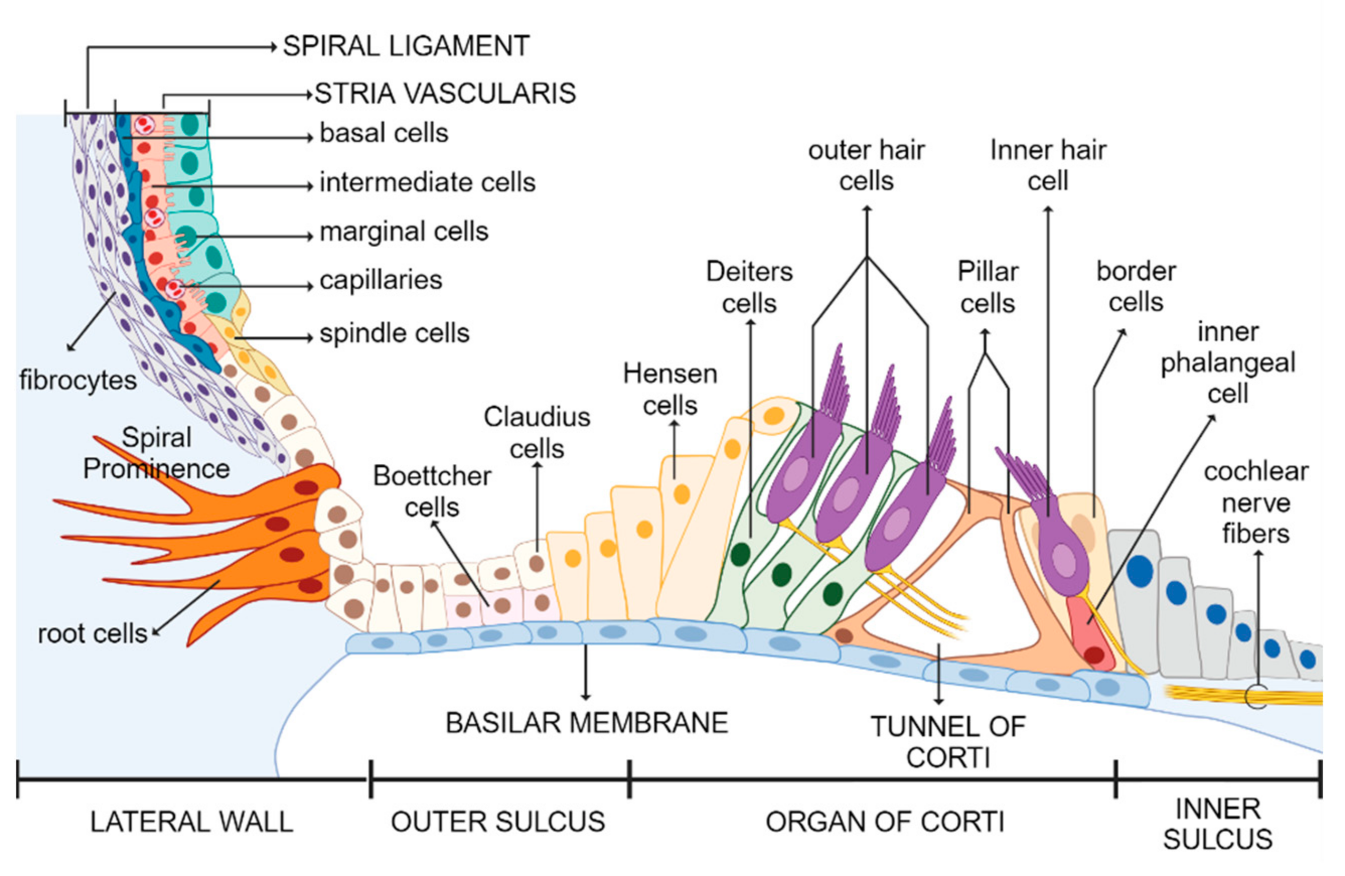 Applsci 14 04985 g002 Applsci 14 04985 g002