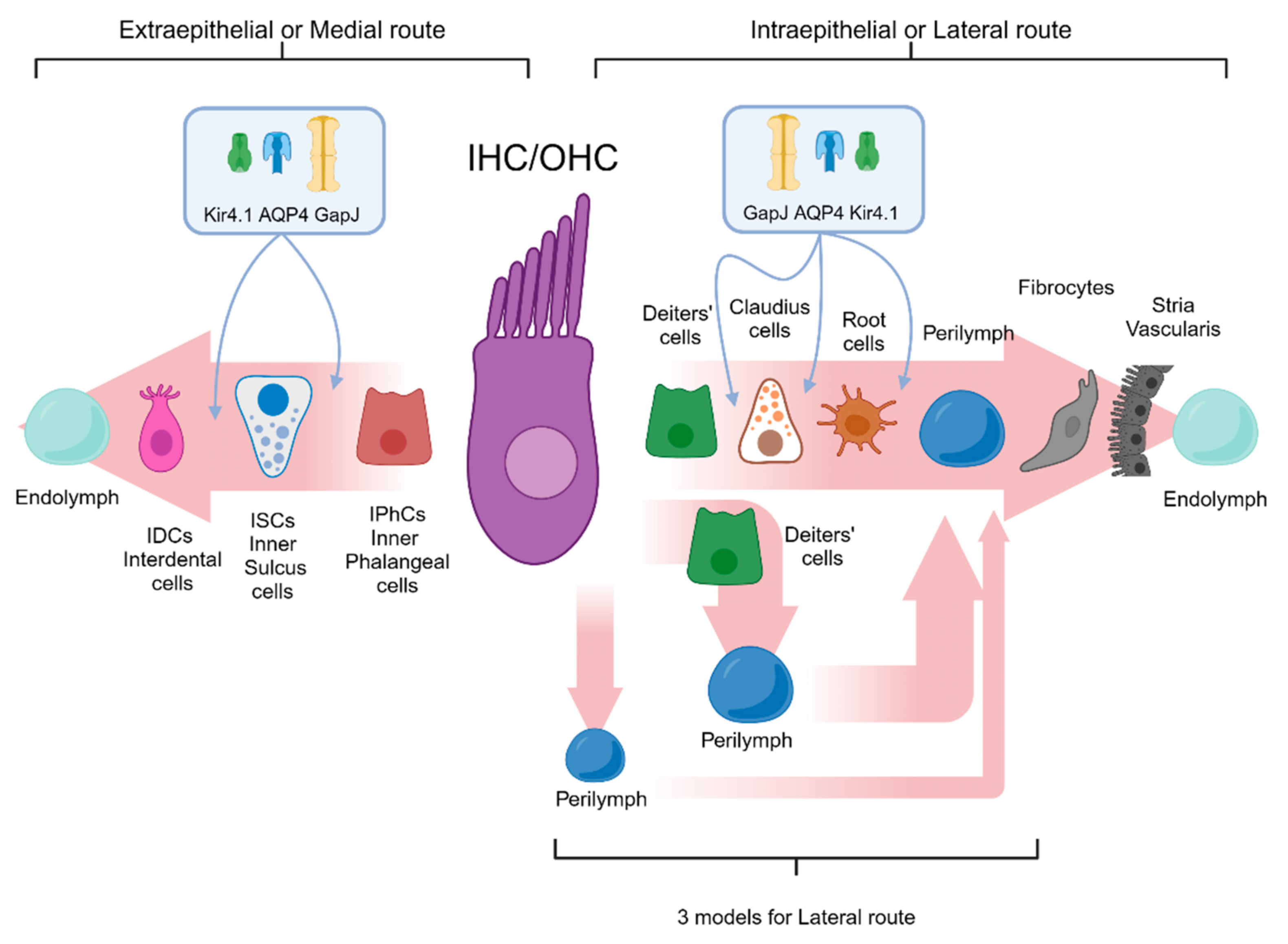 Applsci 14 04985 g005 Applsci 14 04985 g005