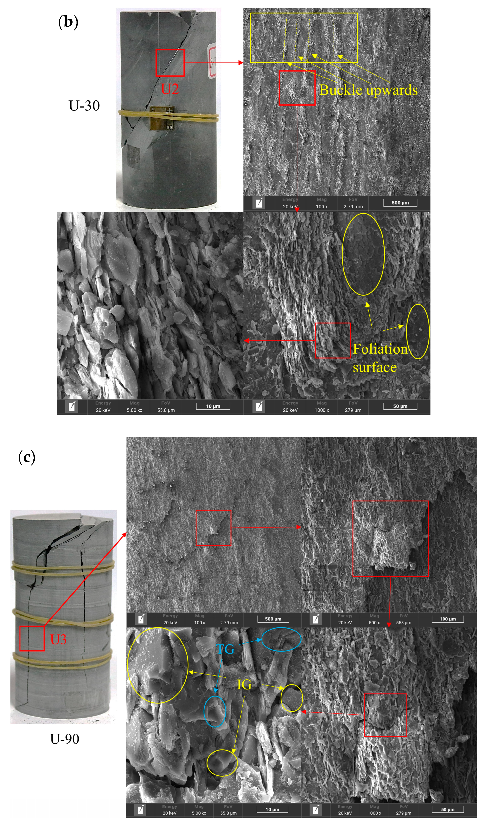 Applsci 14 04988 g020b