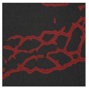 Applsci 14 05004 i036