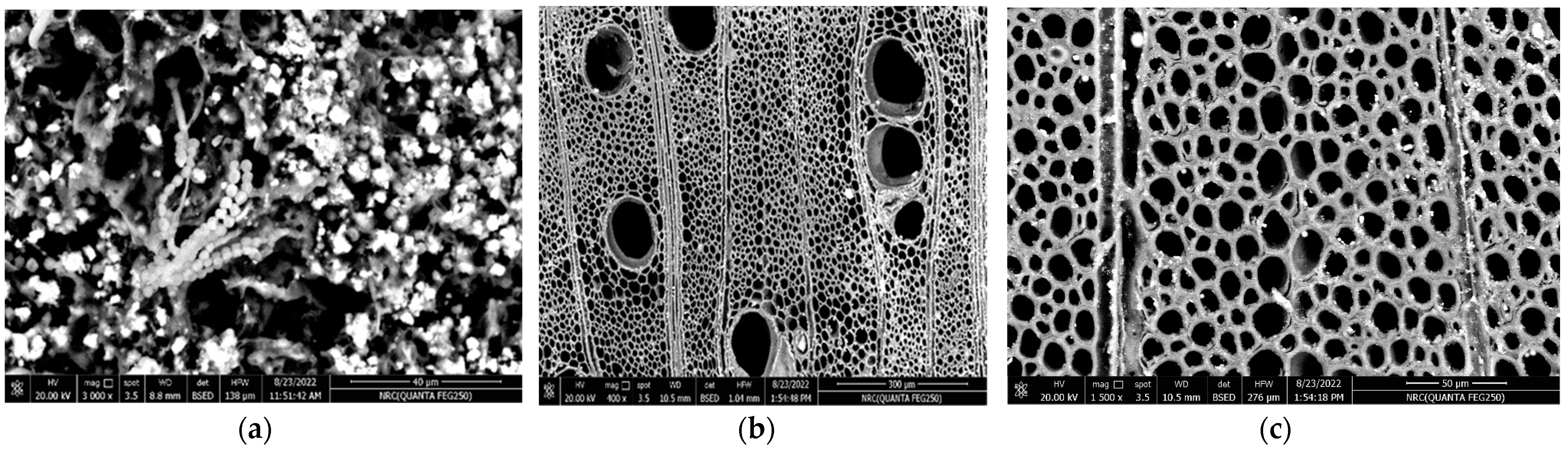 Applsci 14 05023 g004