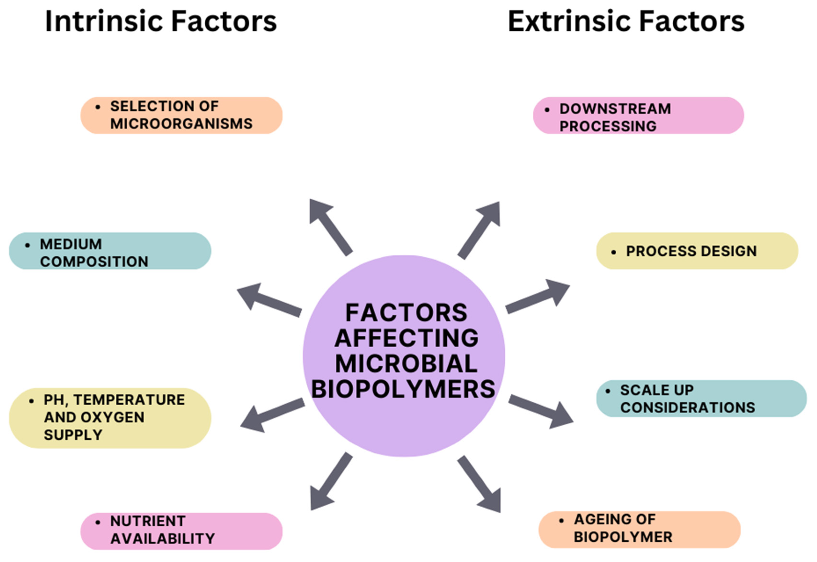 Applsci 14 05081 g002