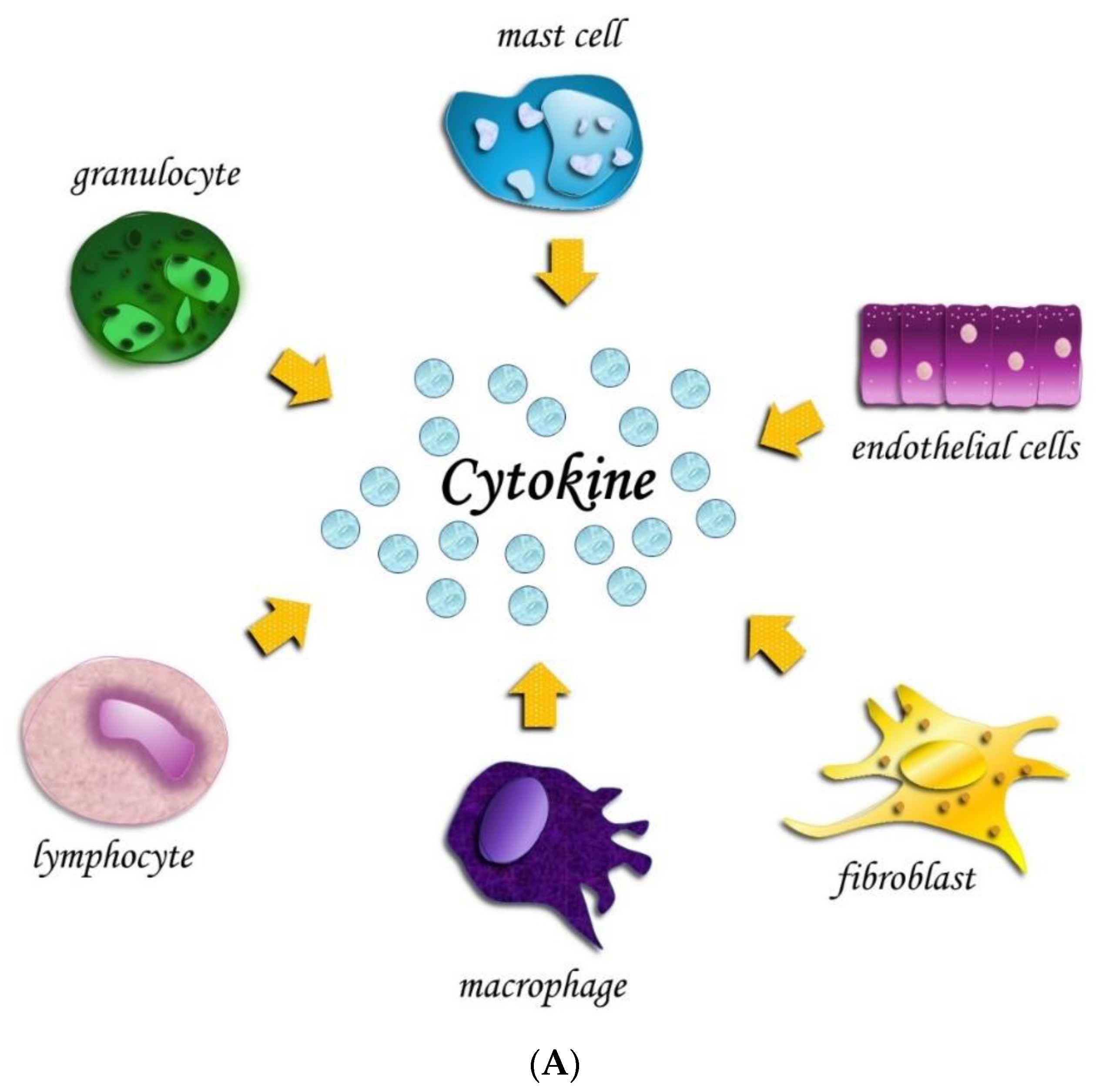 Applsci 14 05133 g002a