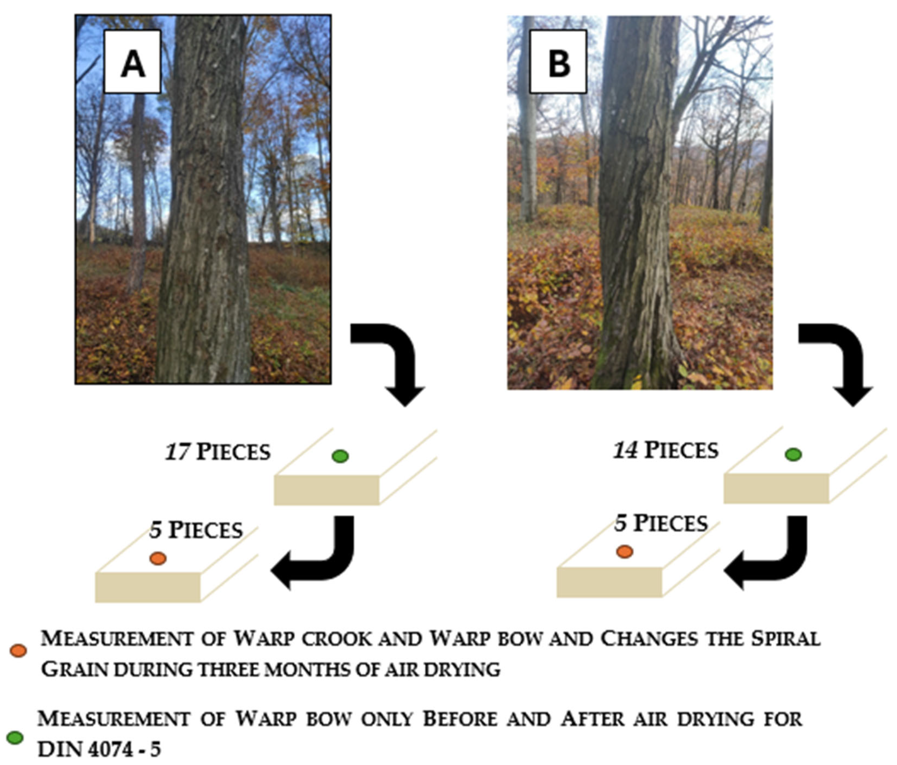 Applsci 14 05250 g002 Applsci 14 05250 g002