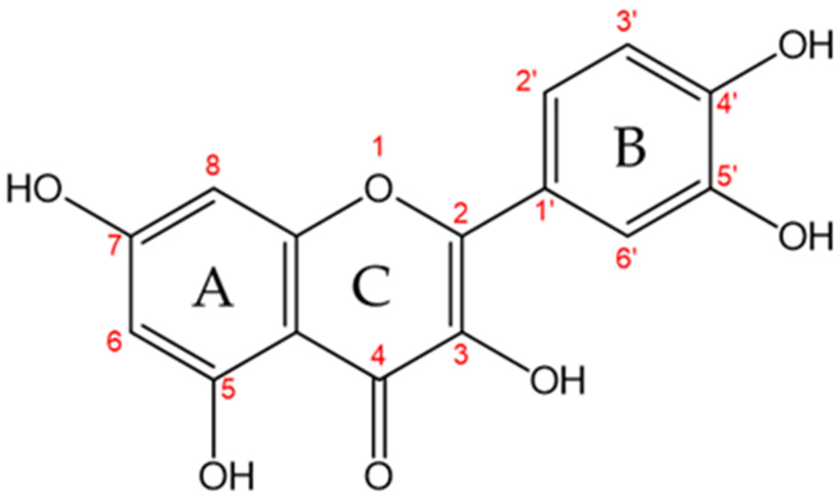 Applsci 14 05268 g001