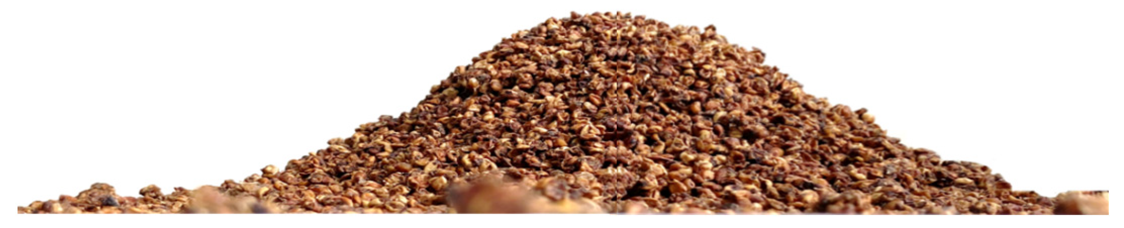 Applsci 14 05281 g003