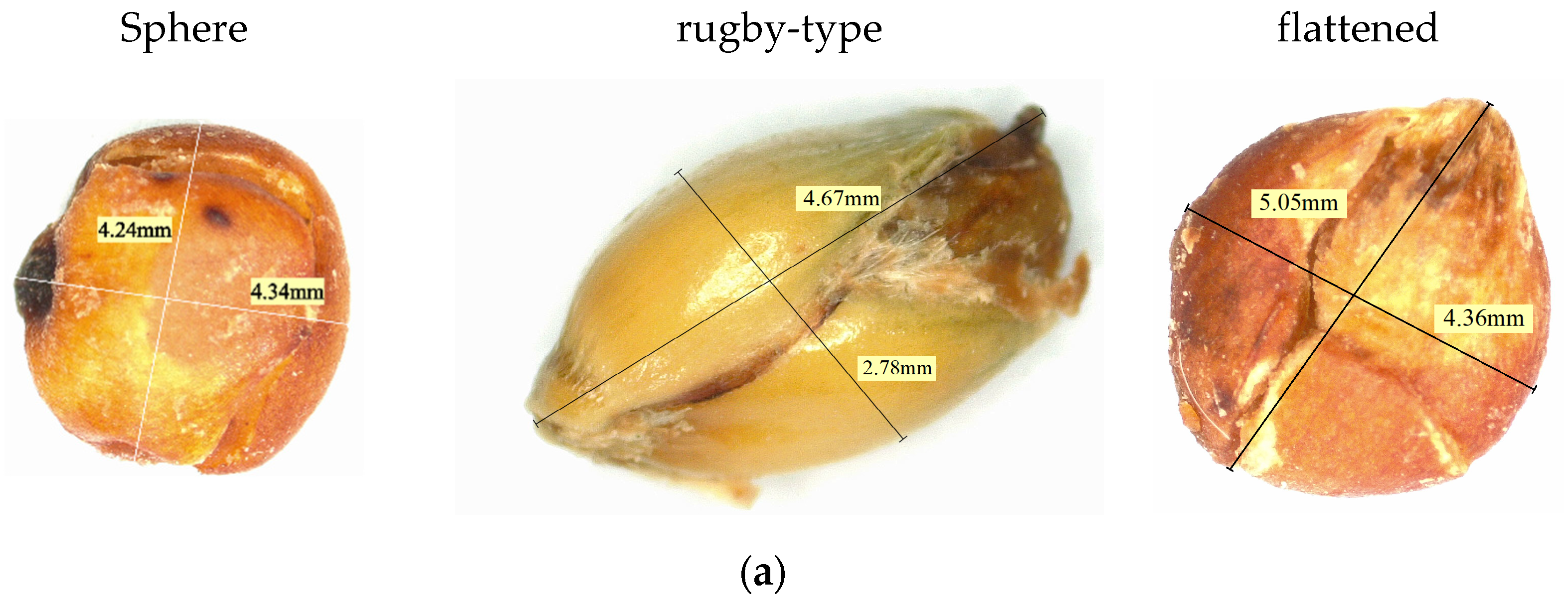 Applsci 14 05281 g005a