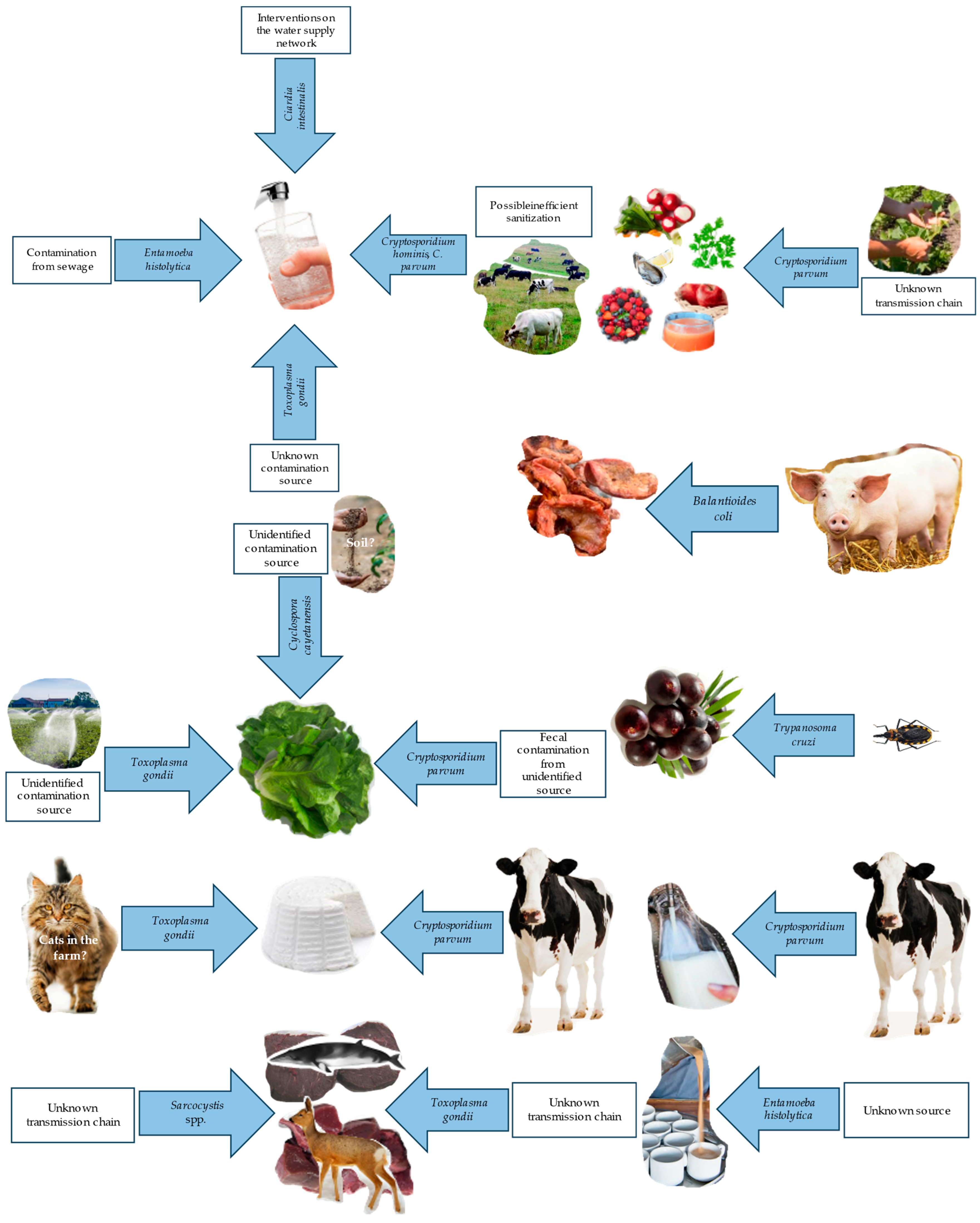 Applsci 14 05339 g003