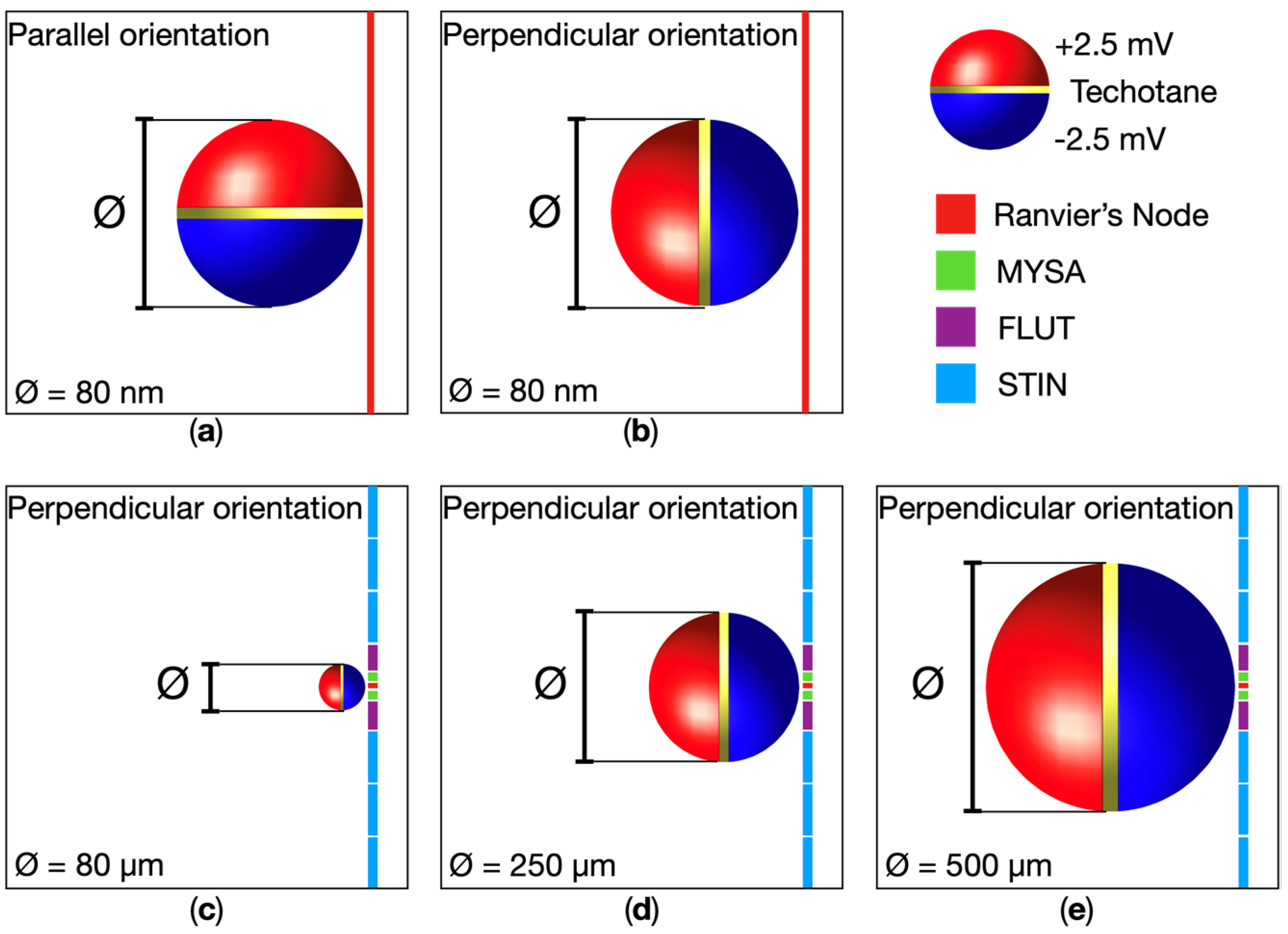 Applsci 14 05372 g001