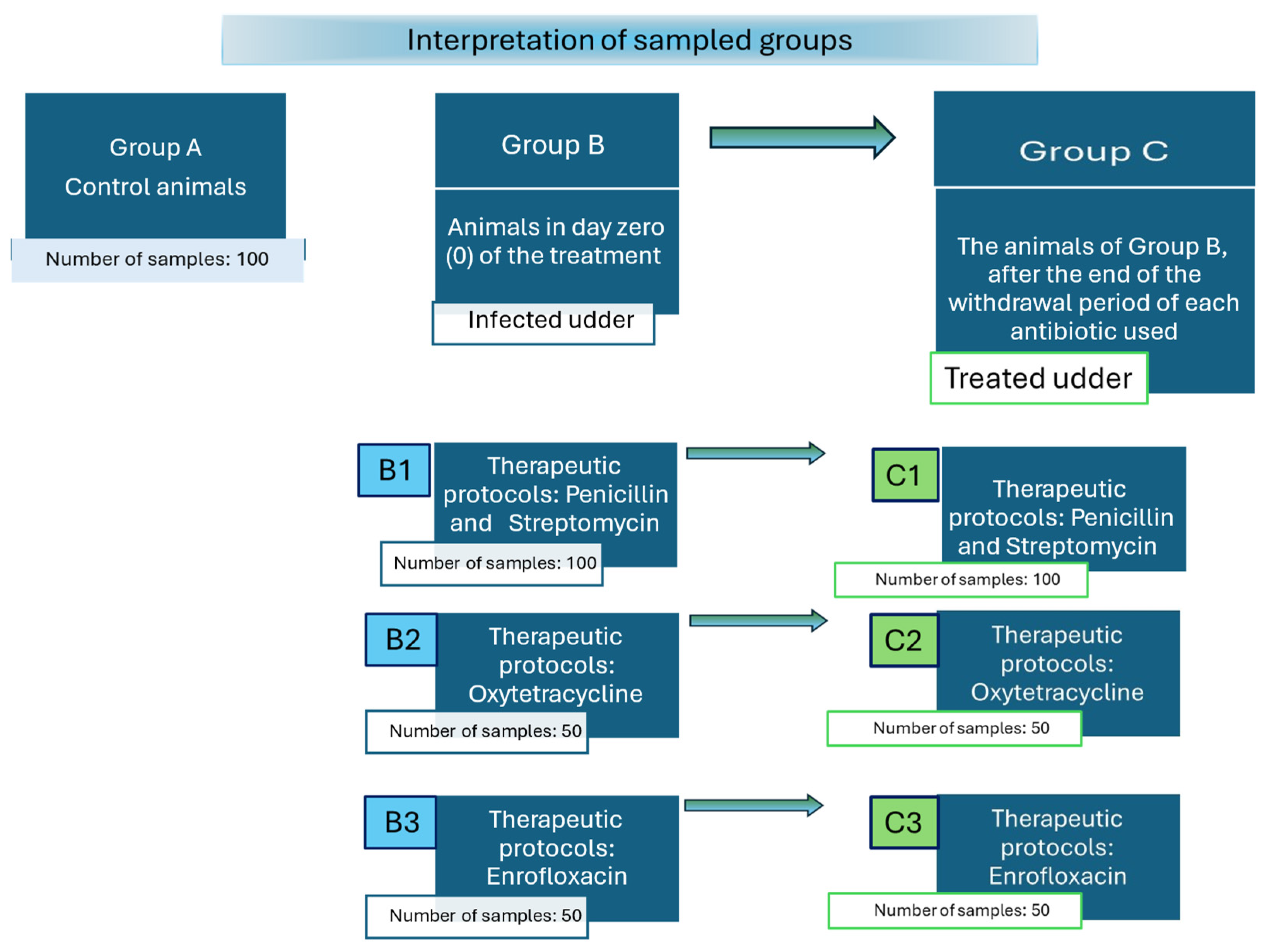 Applsci 14 05383 g001
