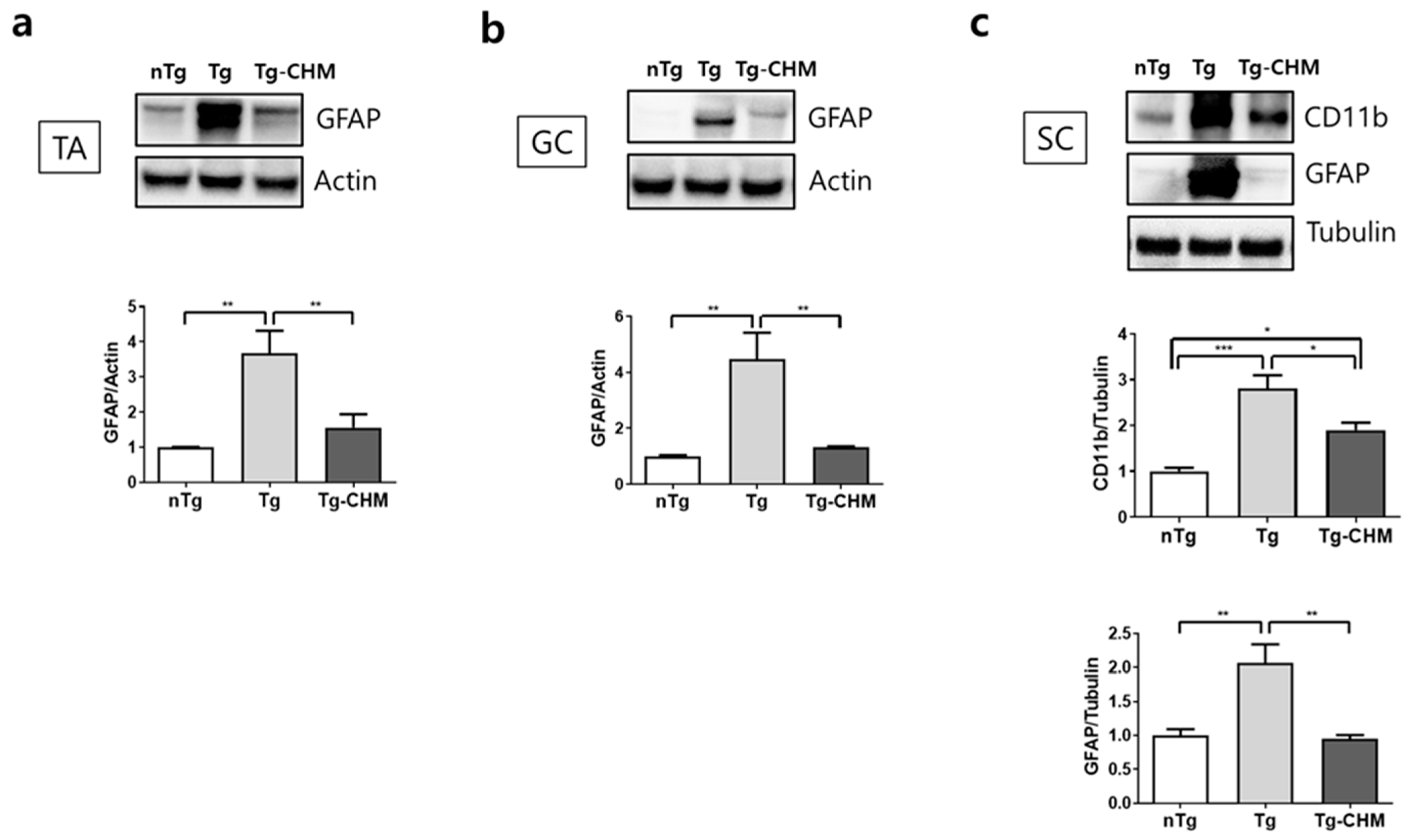Applsci 14 05386 g002