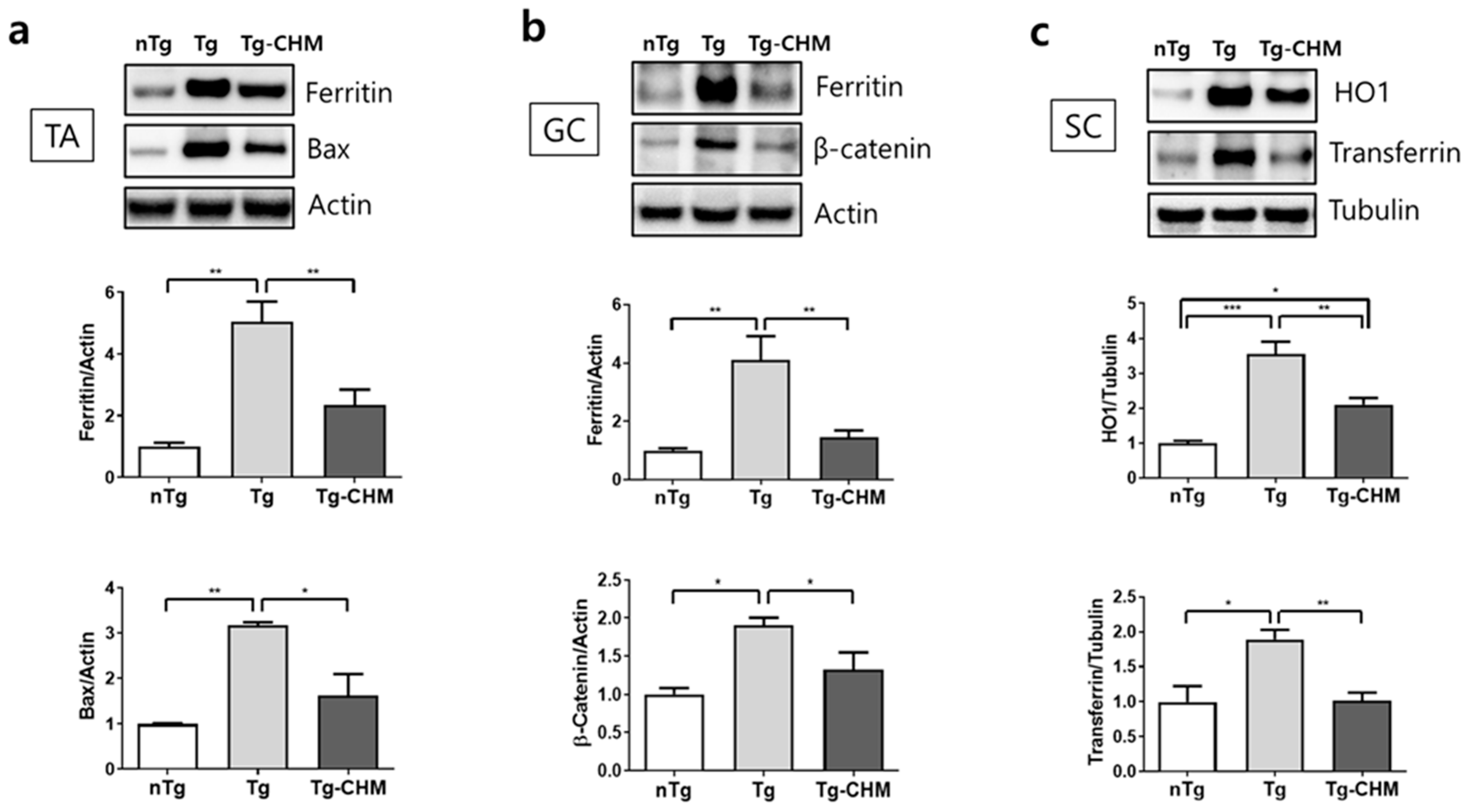 Applsci 14 05386 g003