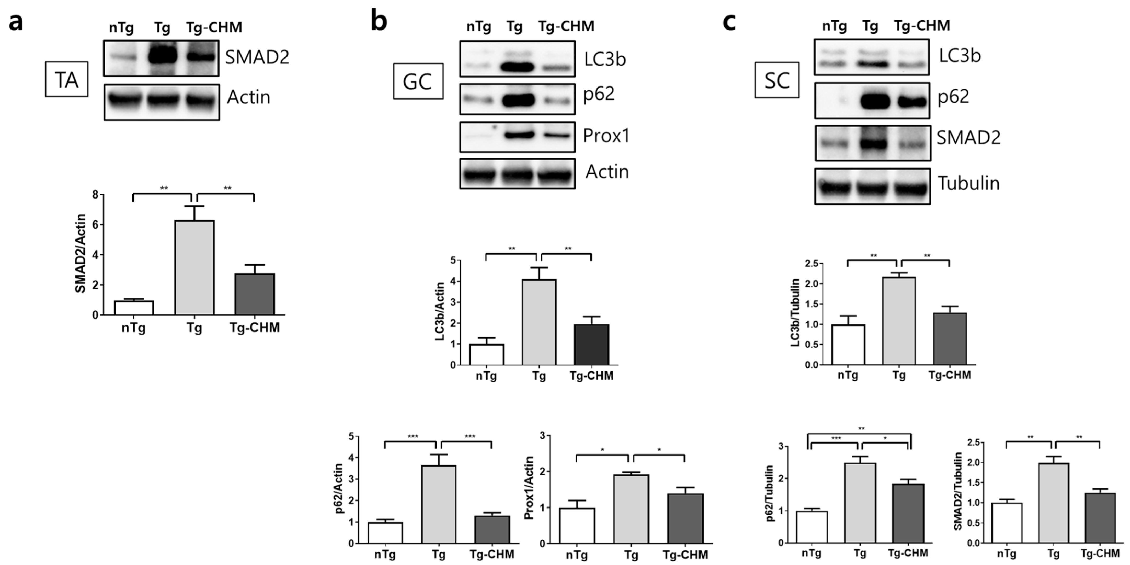 Applsci 14 05386 g004